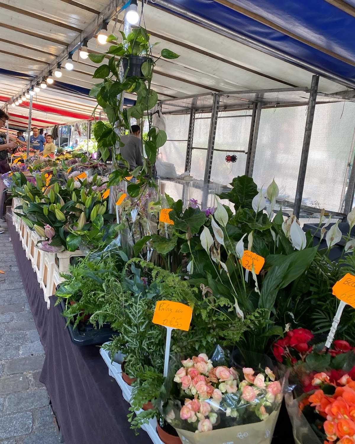 Marché Pyrénées - Photo 3