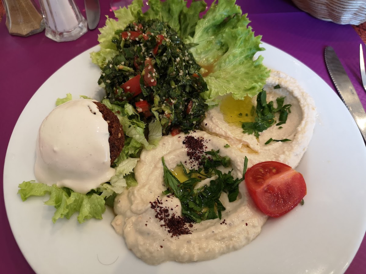 Palace du Liban - Photo 3