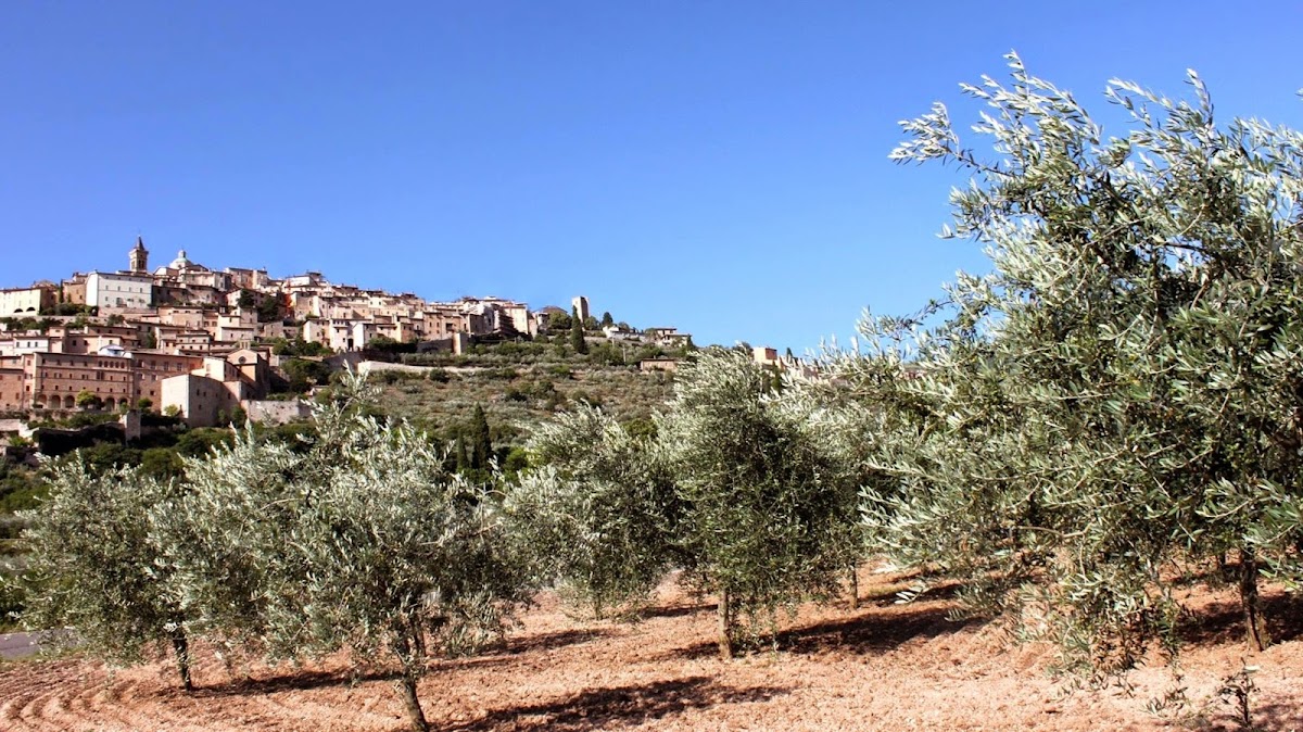 Saveurs d'Italie - Photo 3