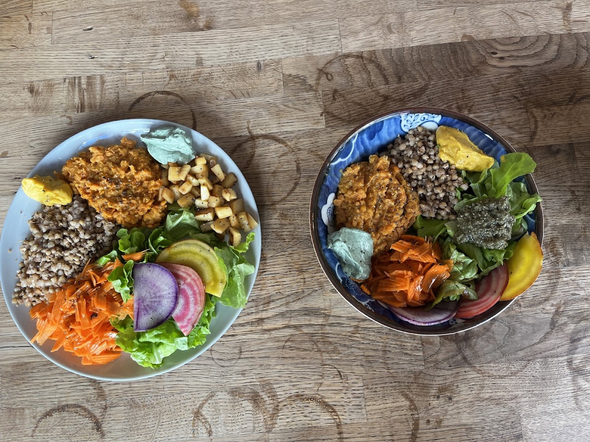 Sol Semilla - Photo 2