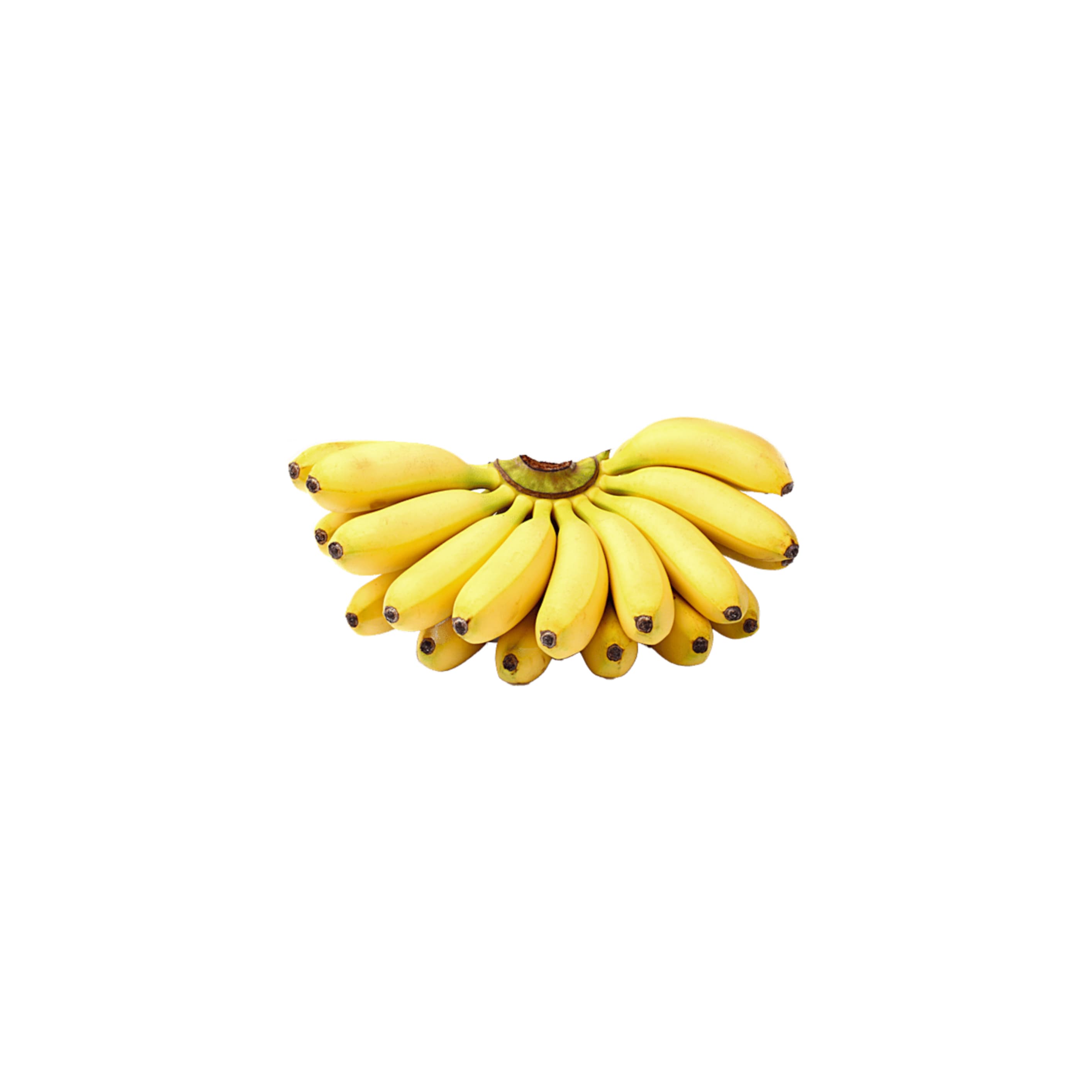 Banana AmruthaPani అమృతపానీ అరటి (Amruthapani Arati)