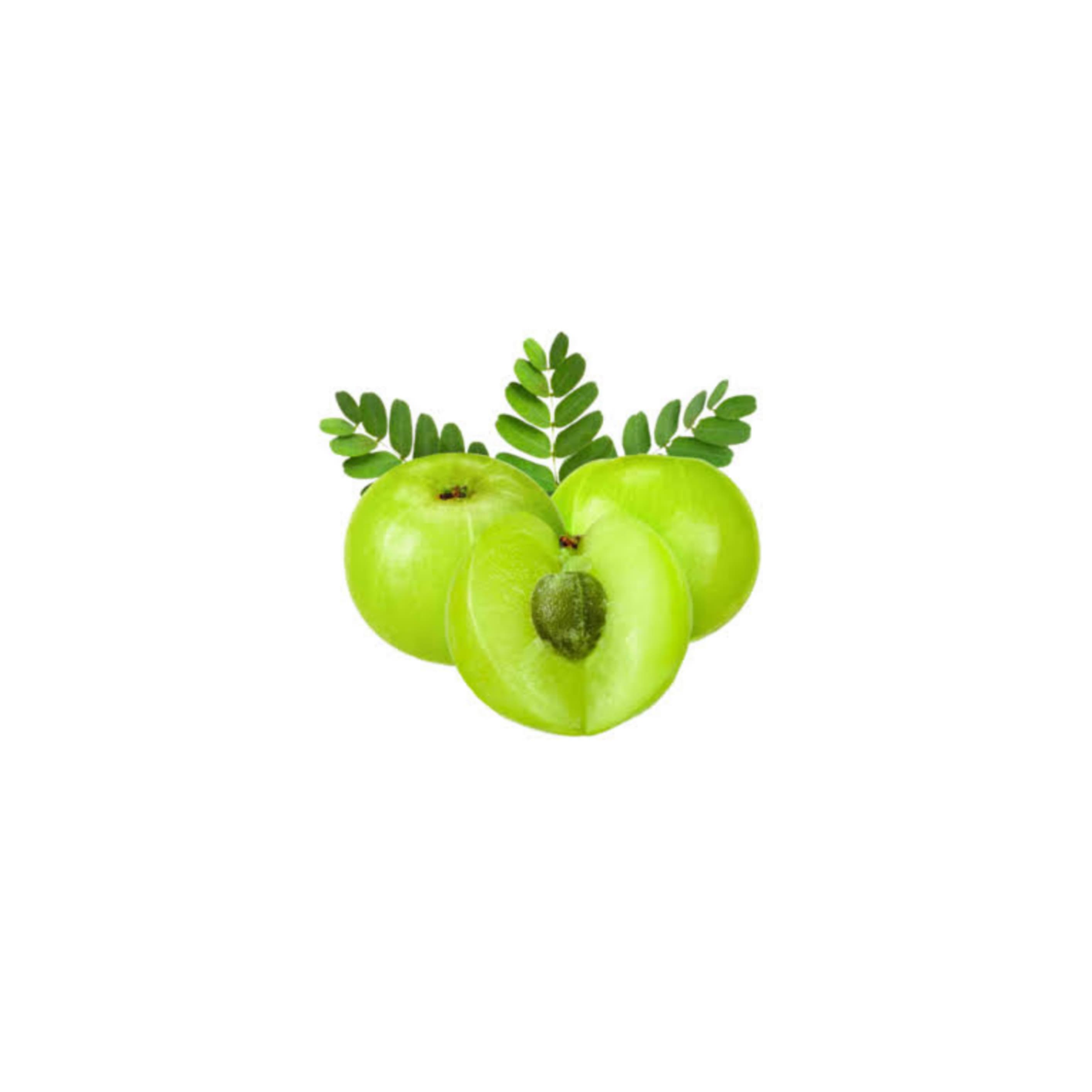Gooseberry (Amla) ఉసిరికాయ (Usirikaya)