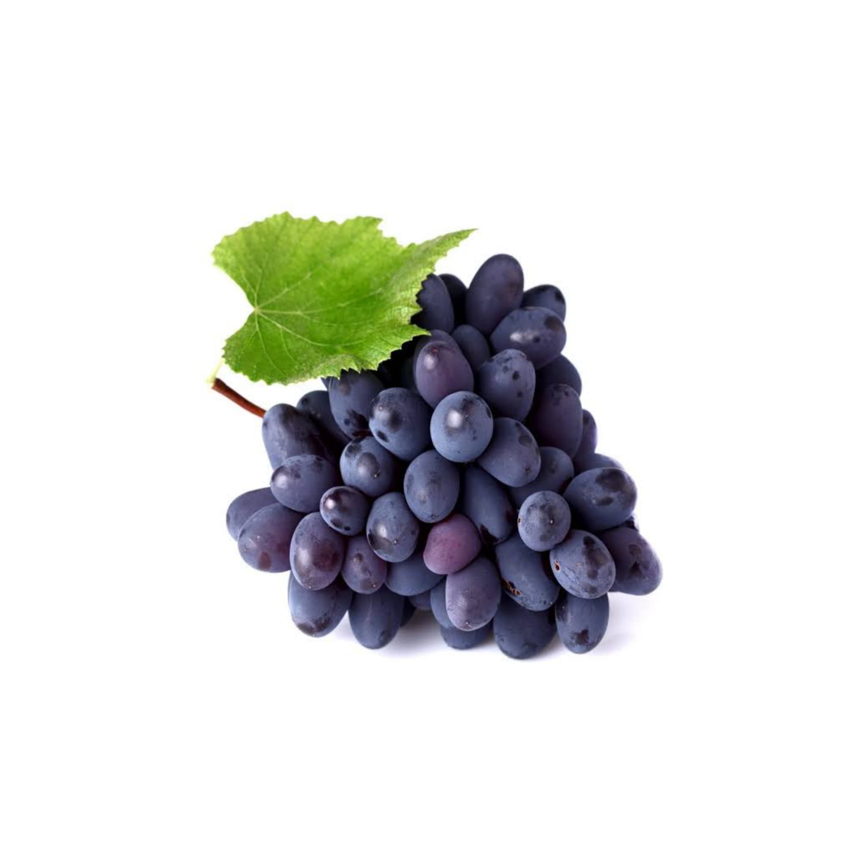 Grapes (Banglore blue) ద్రాక్ష (నీలం రంగు) (Neela Rangu Draksha)