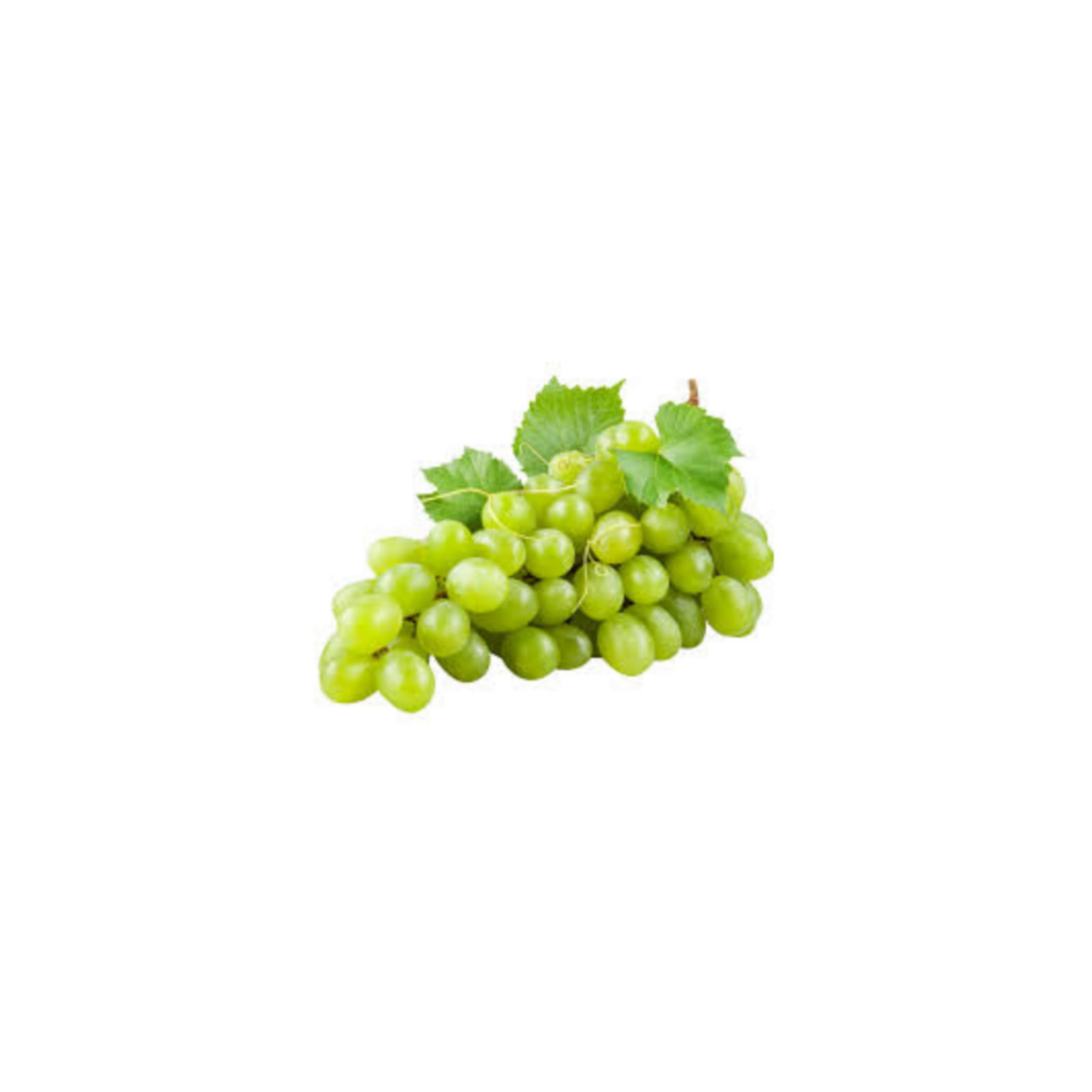 Grapes Green పచ్చ ద్రాక్ష (Paccha Draksha)