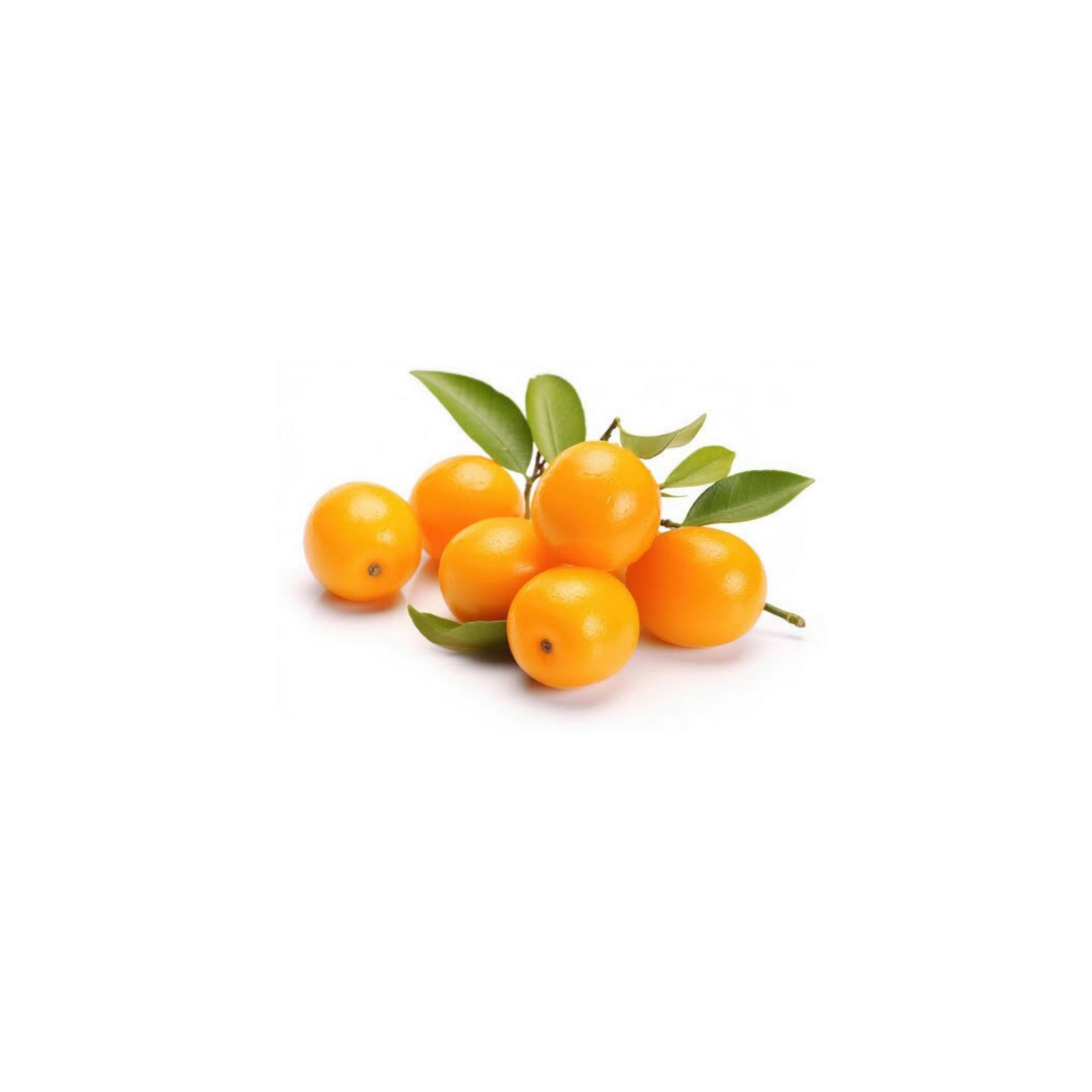 Oranges baby చిన్న నారింజలు (Chinna Narinjalu)