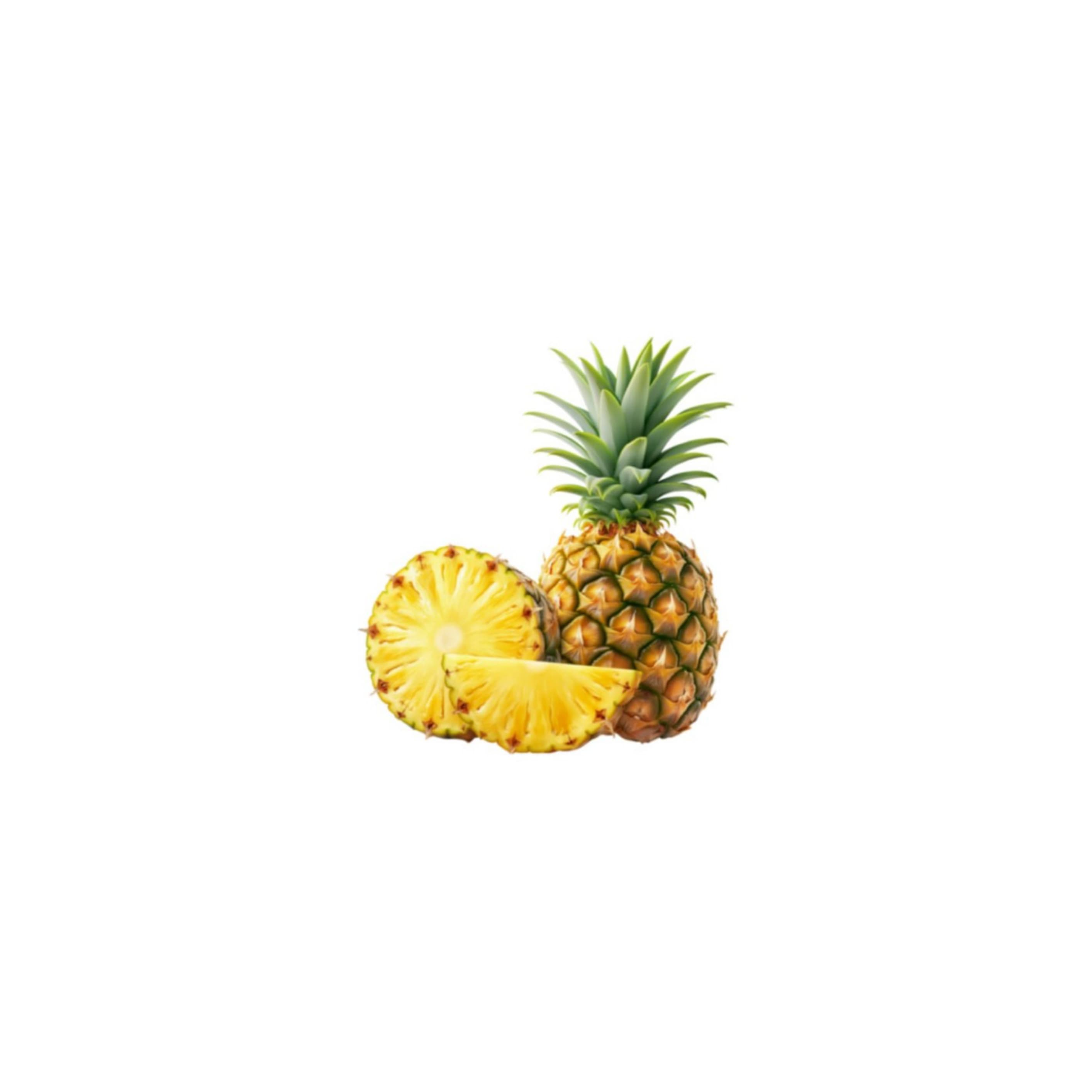 PineApple అనానాస్ (Ananas)