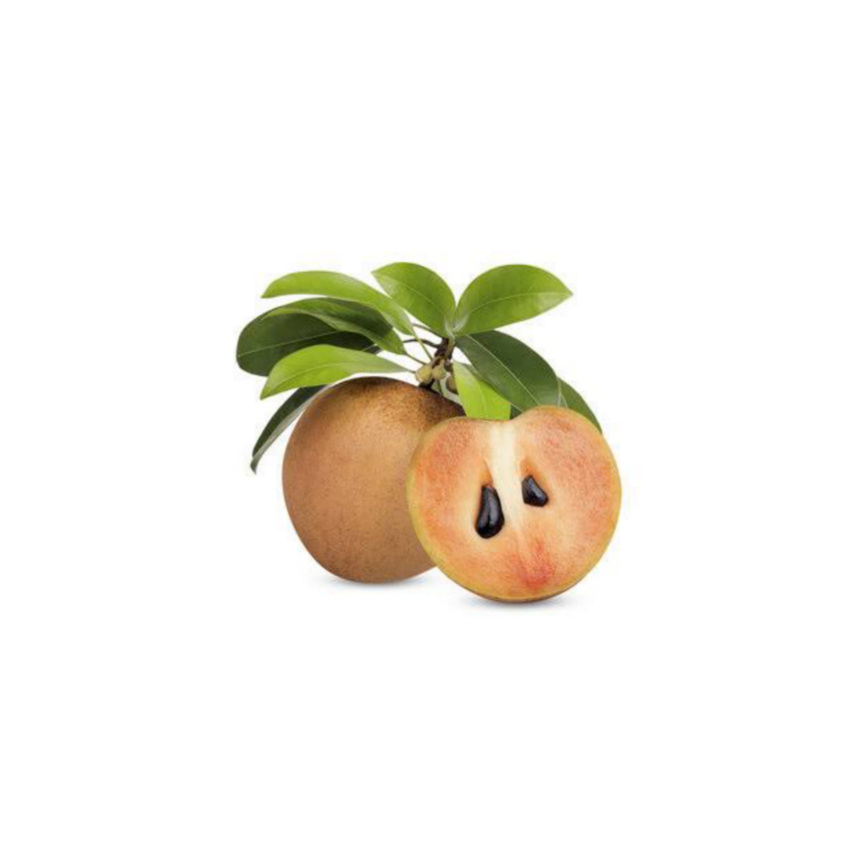 Sapota సపోటా