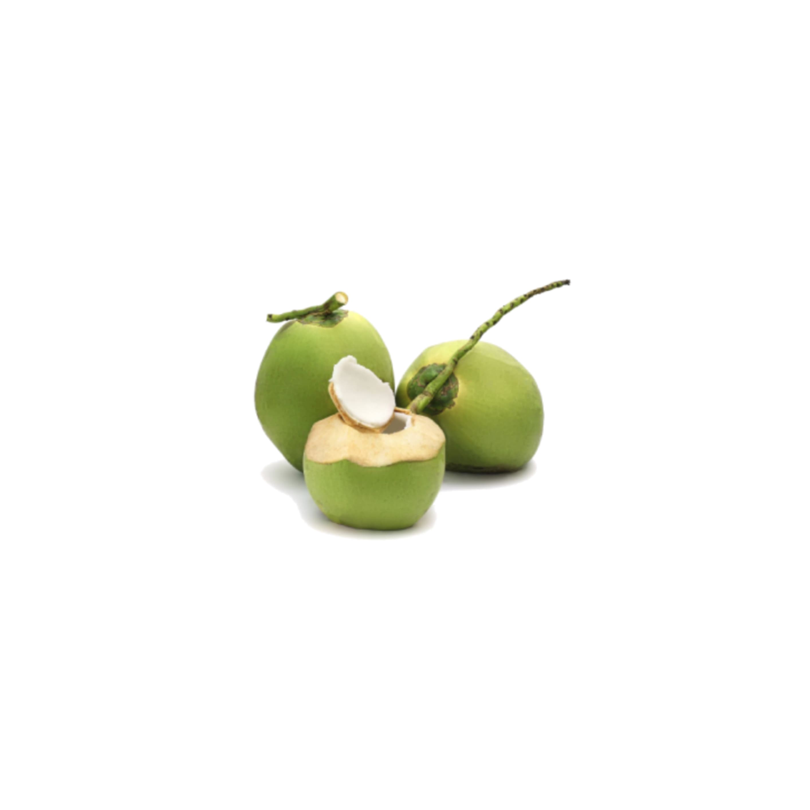 Tender coconut కొబ్బరి బొండం (Kobbari Bondam)