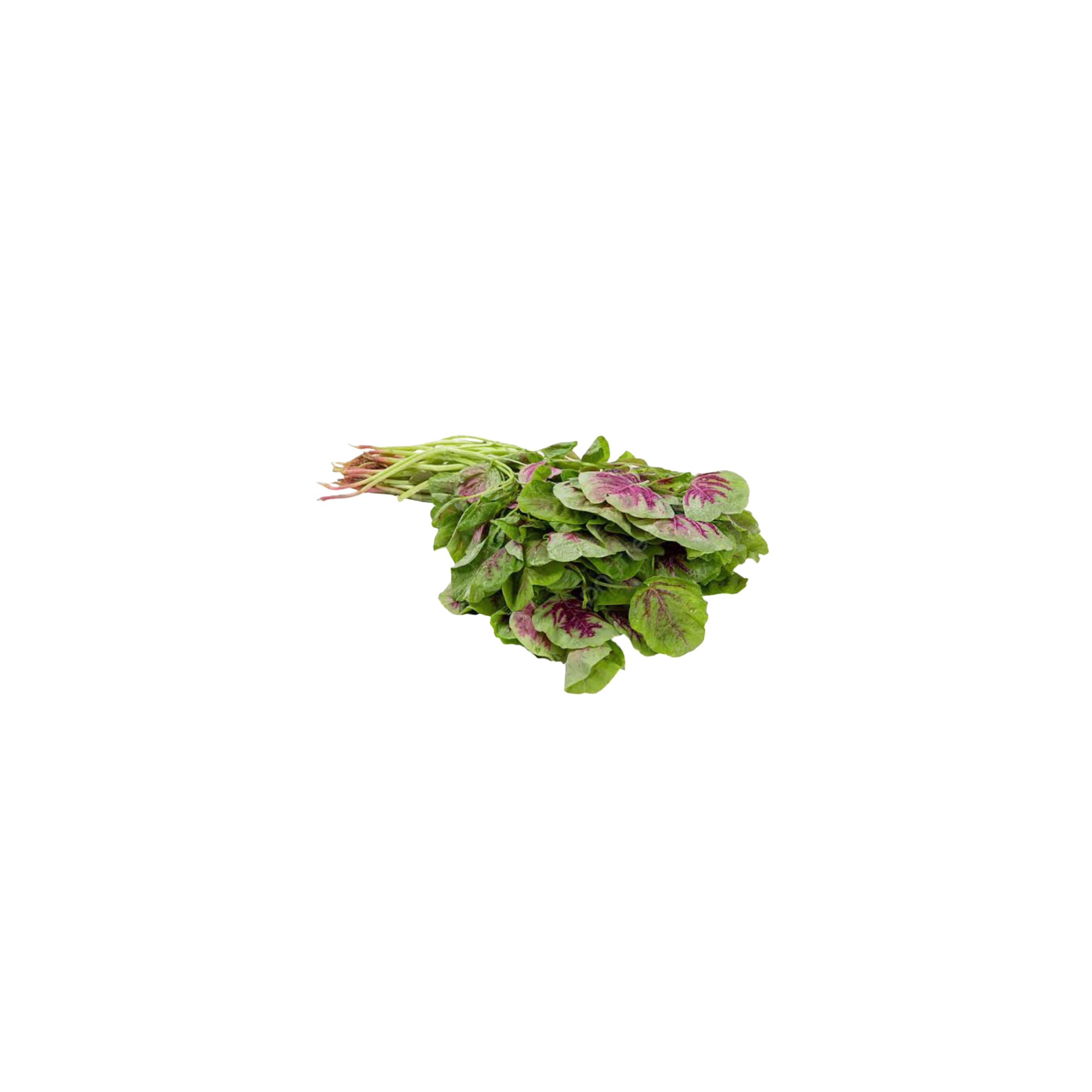 Amaranth తోటకూర (Thotakura)