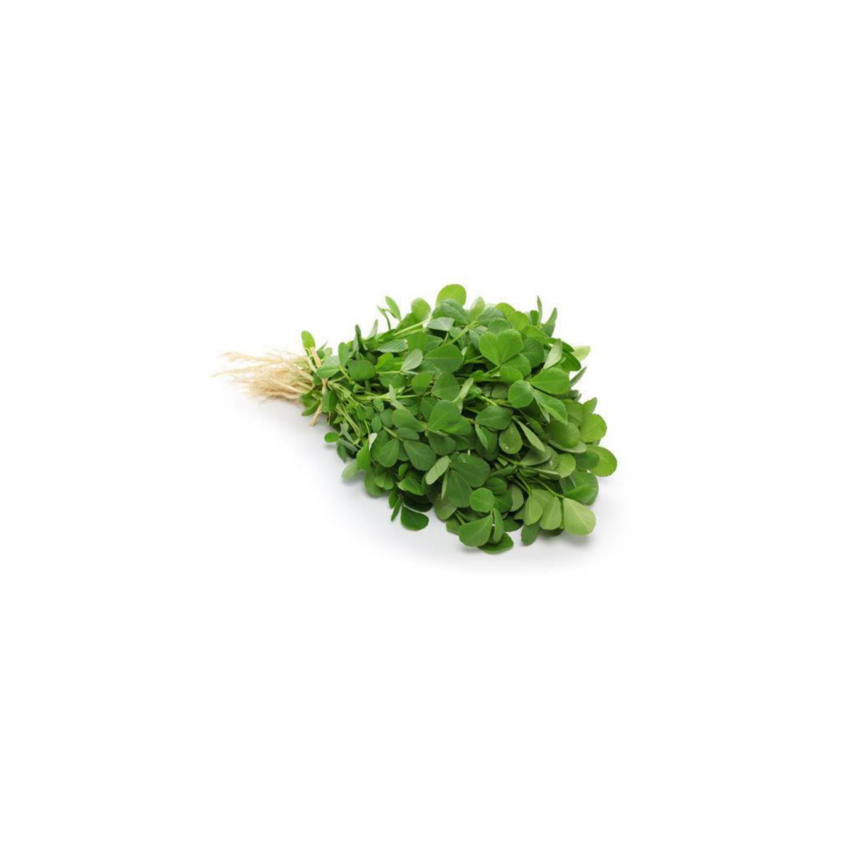 Fenugreek Leaves మెంతికూర (Menthikura)