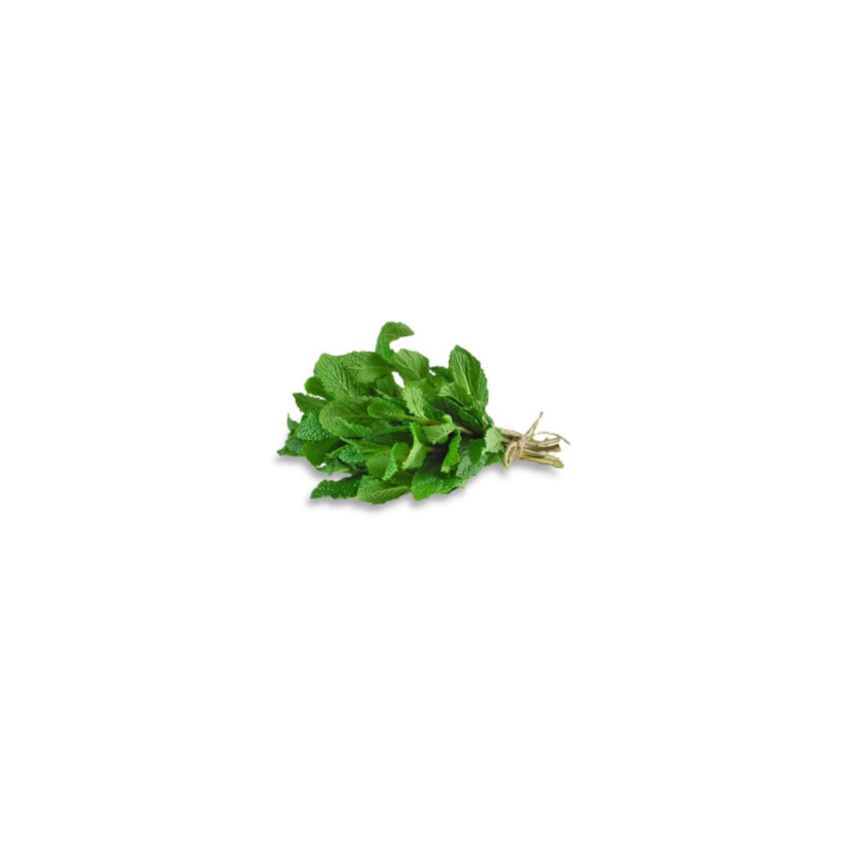 Mint Leaves పుదీనా (Pudina)