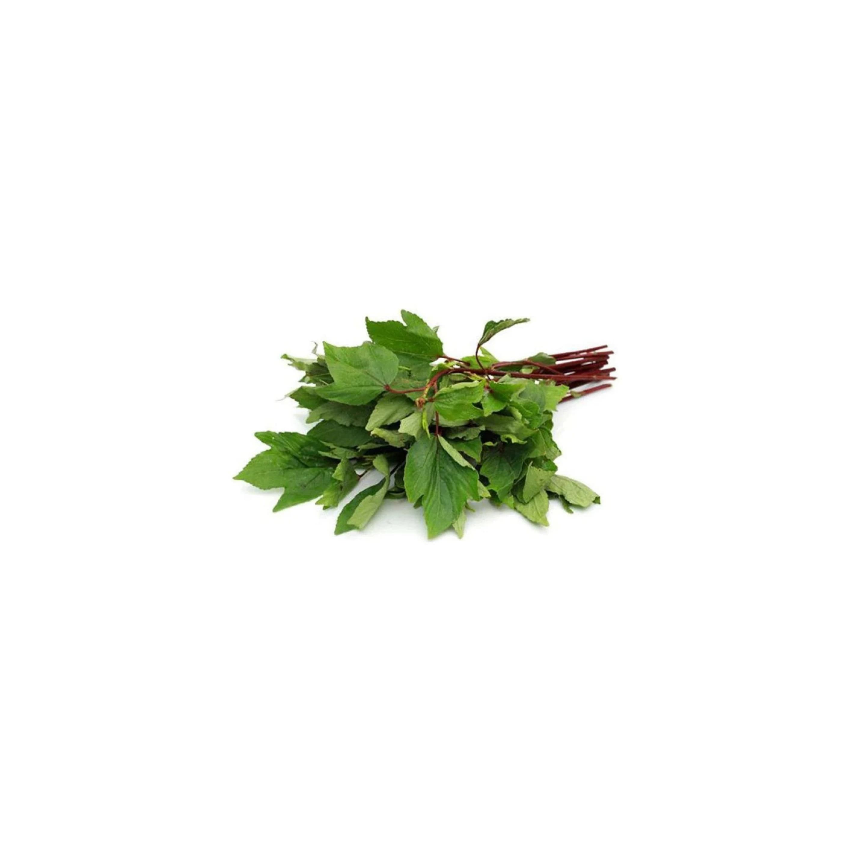 Red Sorrel leaves గోంగూర (Gongura)
