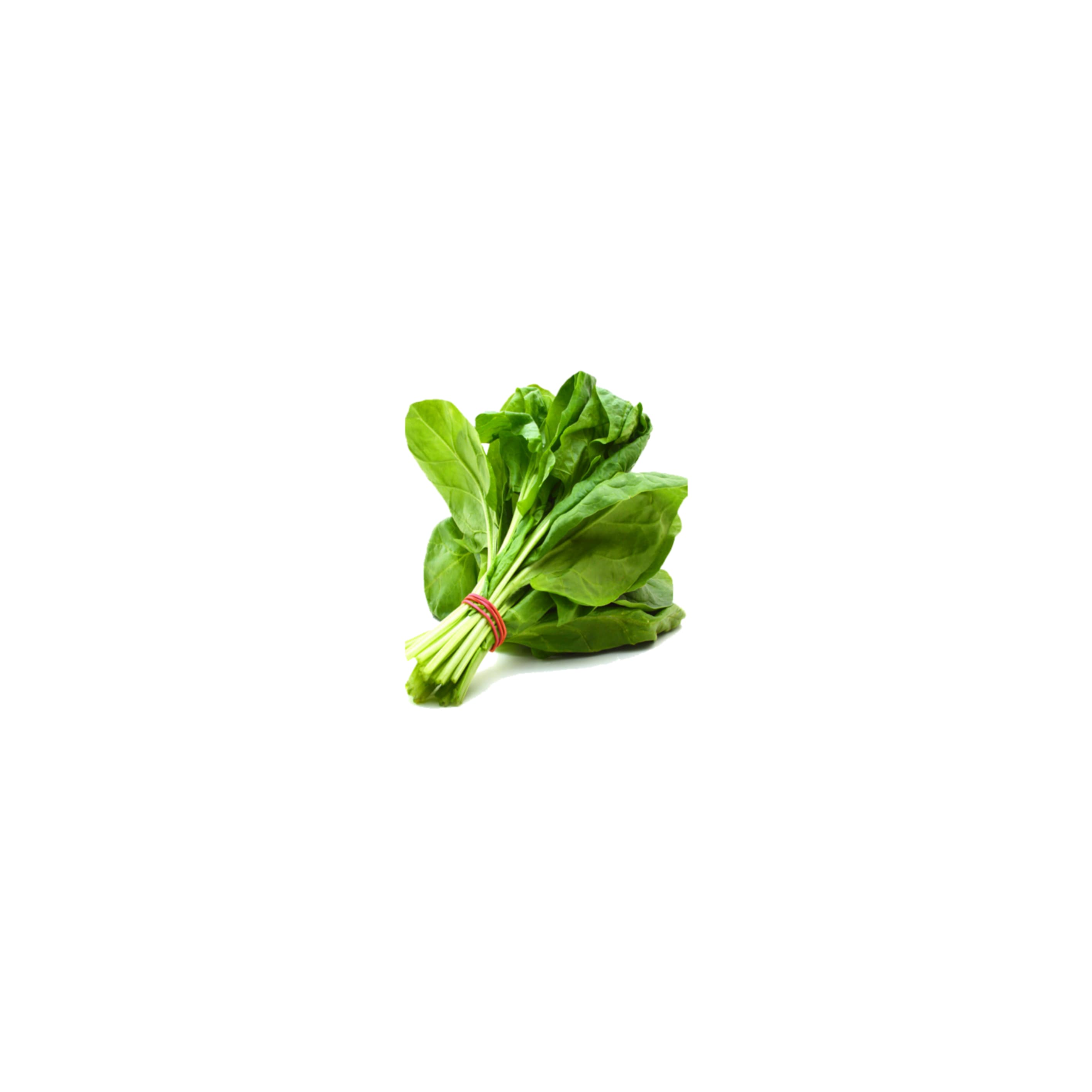 Spinach పాలకూర (Palakura)