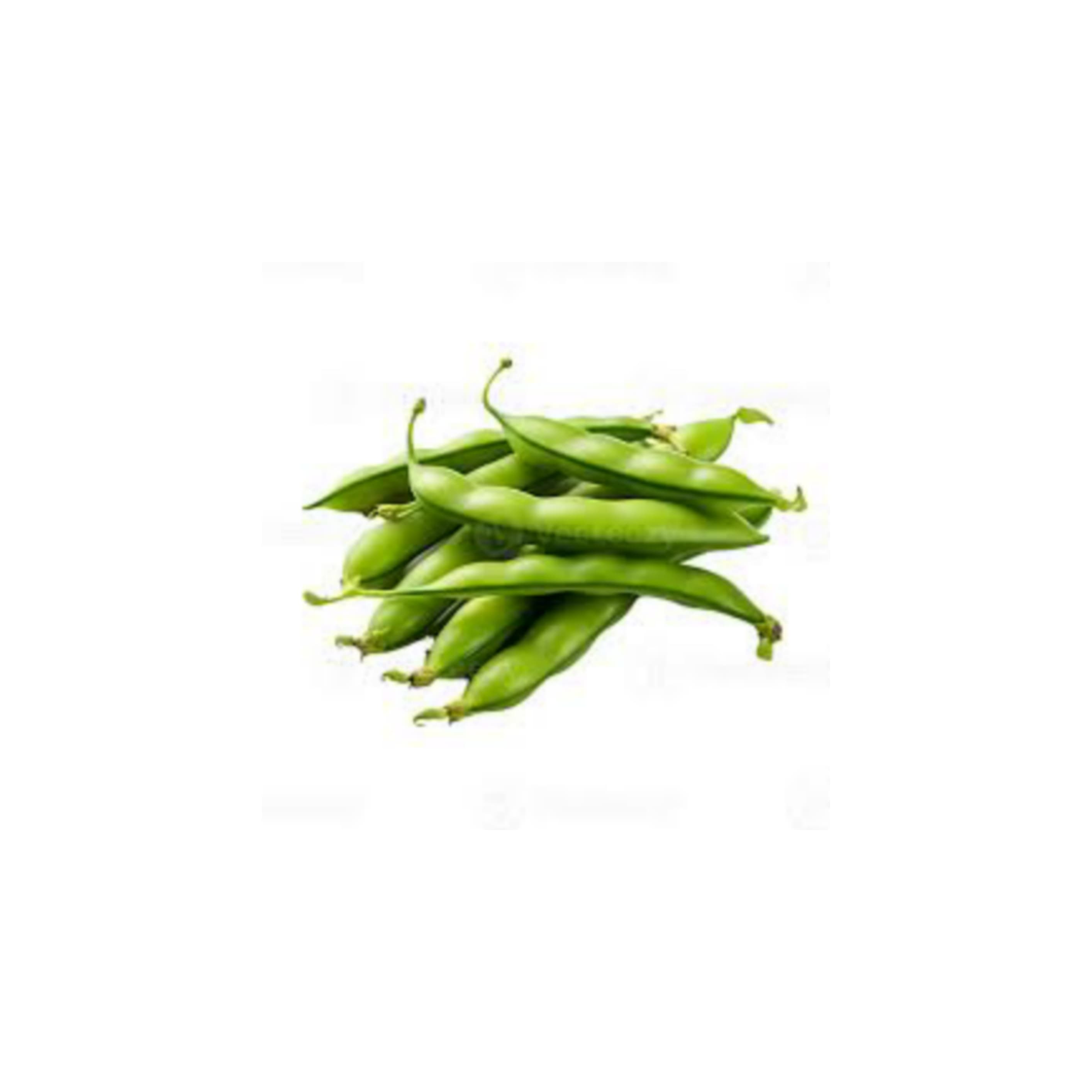 Beans broad చిక్కుడుకాయ (Chikudukaya)