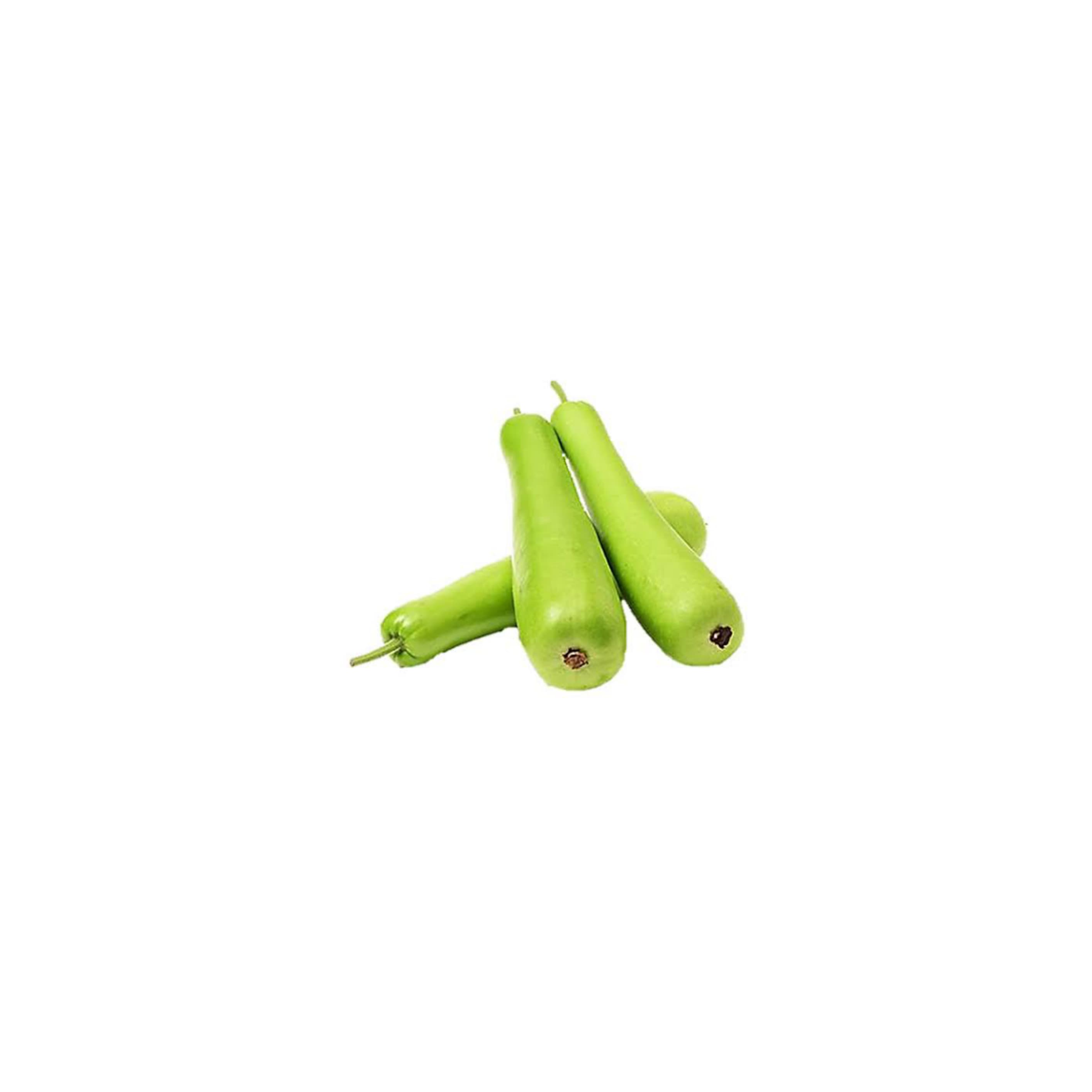 Bottle gourd సొరాకాయ (Sorakaya)