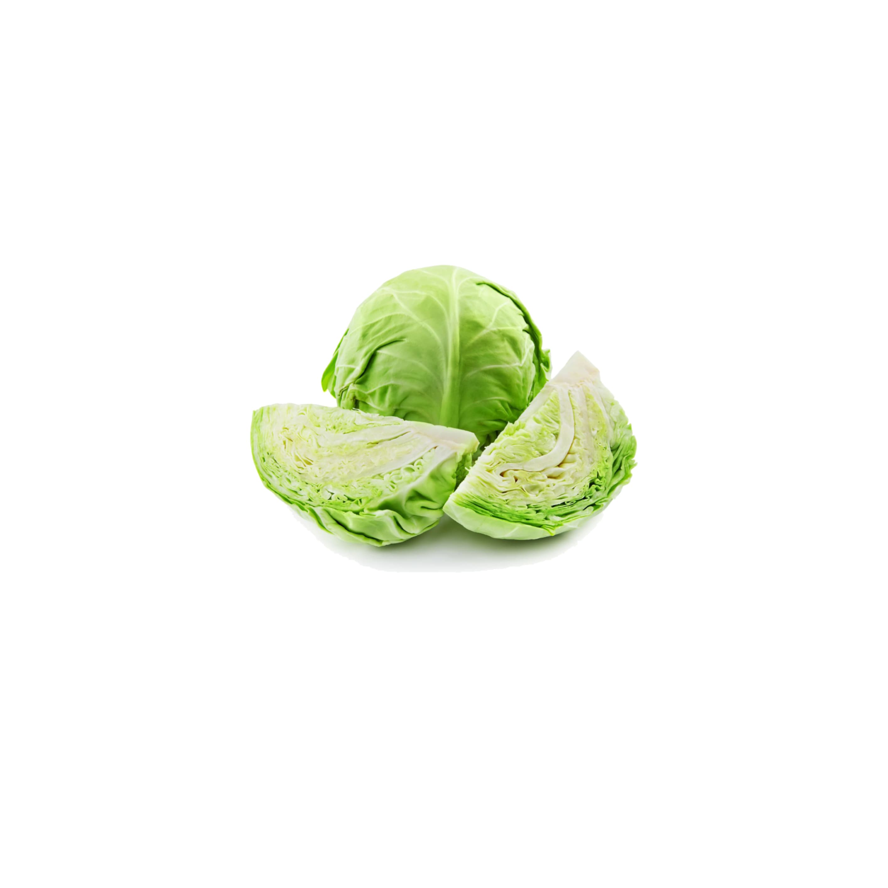 Cabbage క్యాబేజ్