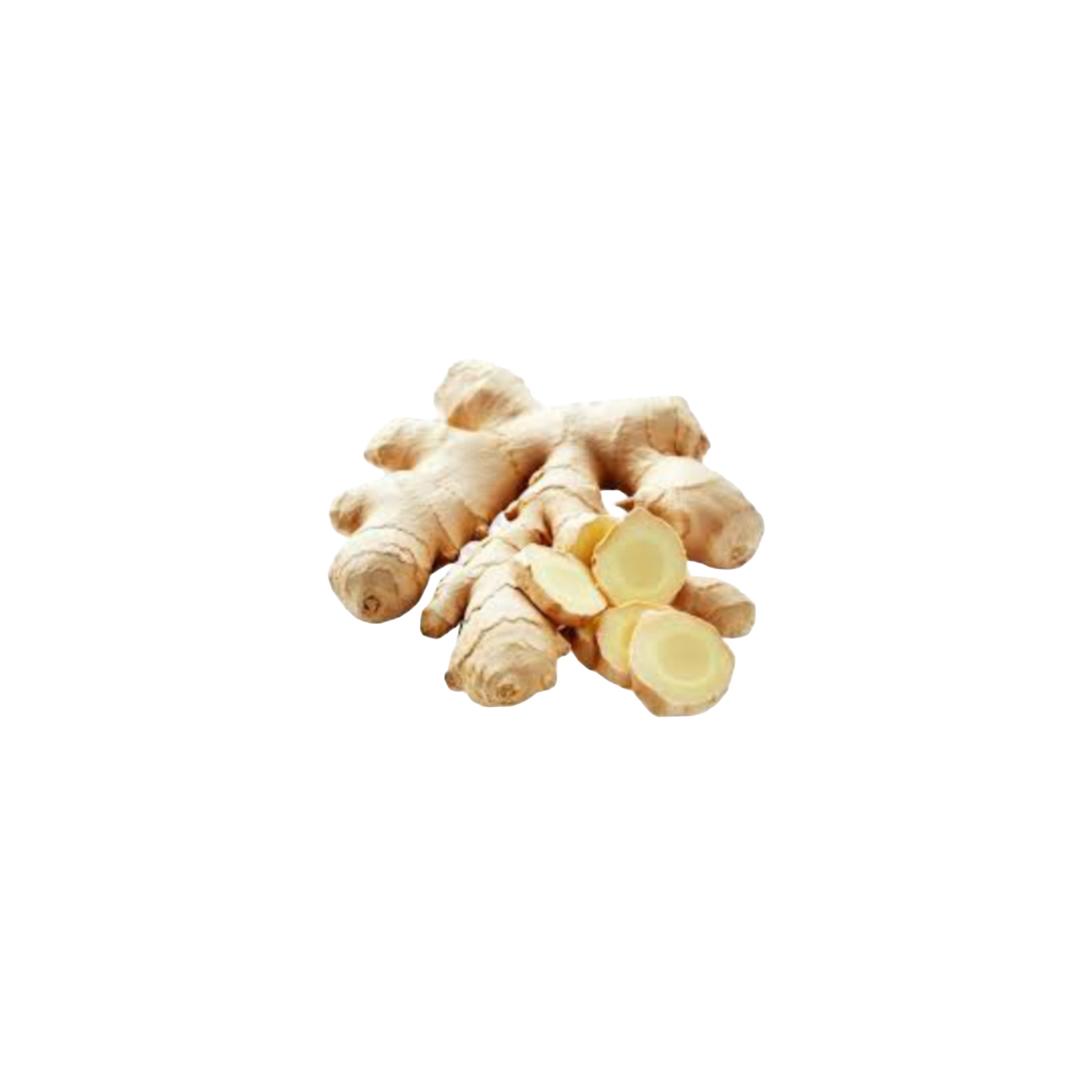 Ginger అల్లం (Allam)