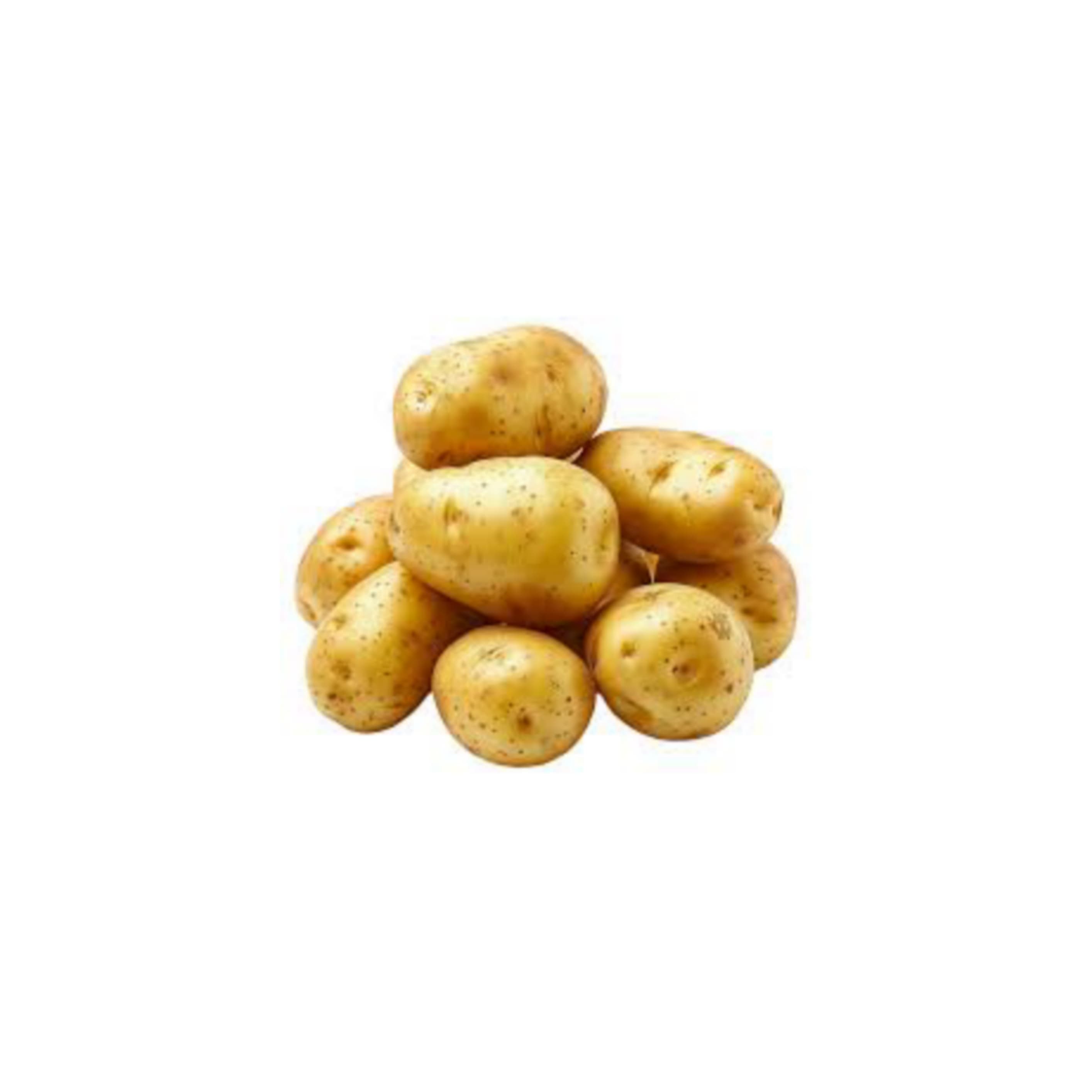 Potato బంగాళా దుంప (Bangala Dumpa)