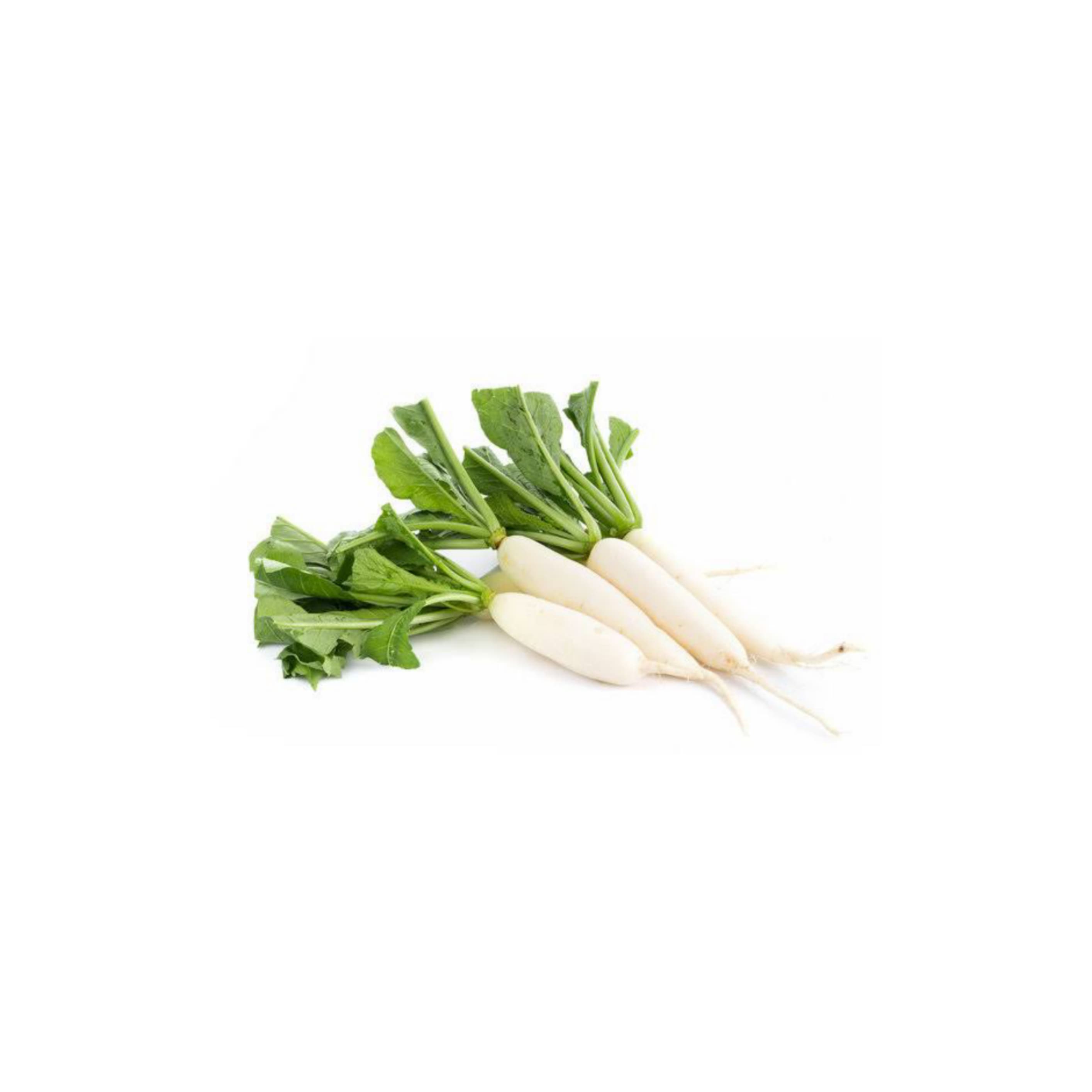 Radish white ముల్లంగి (Mullangi)