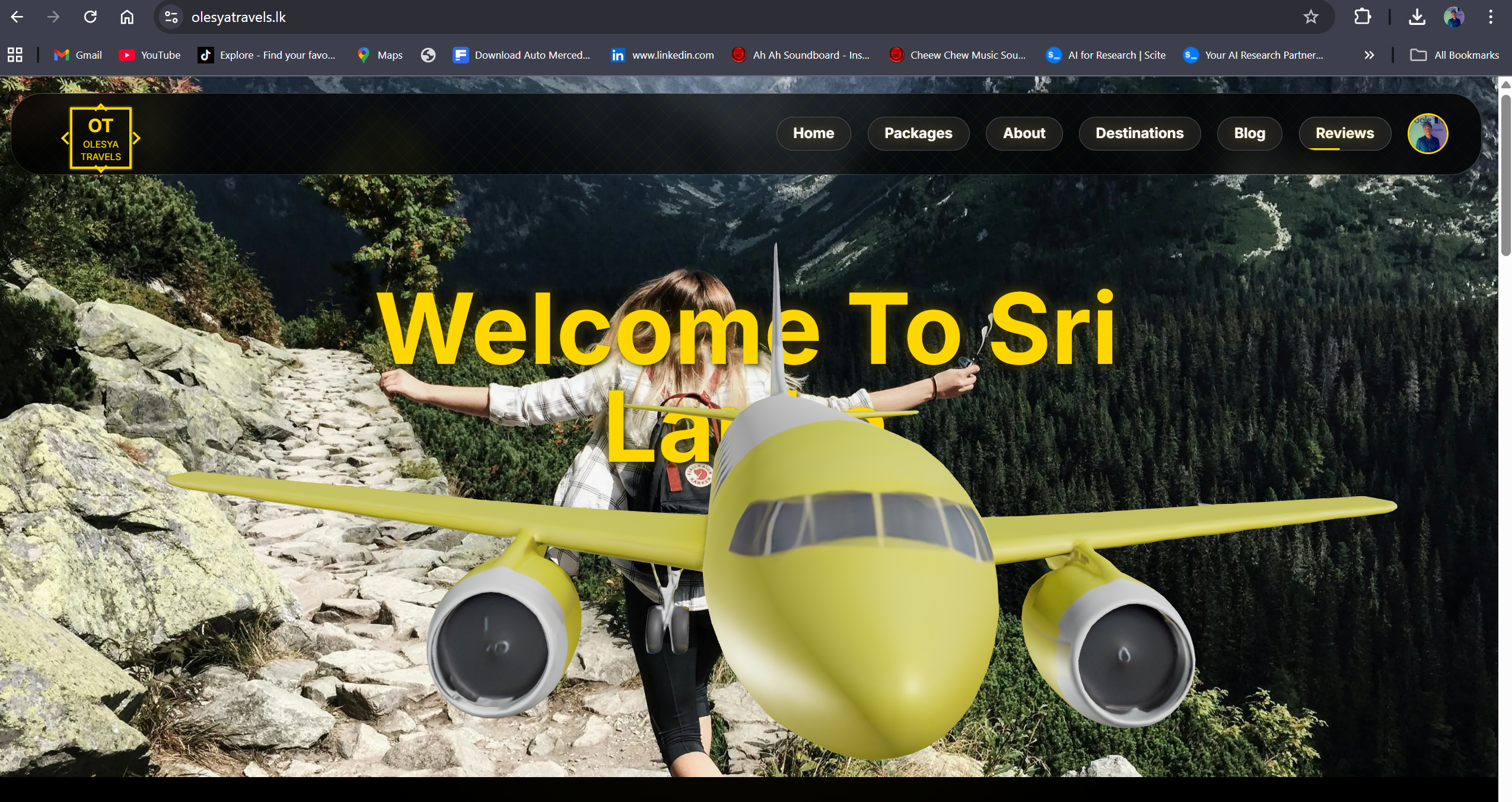 Oleseya Travels Website