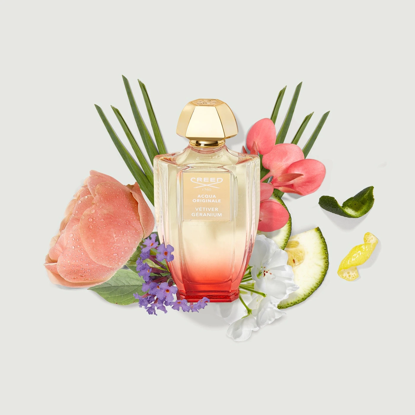 Vétiver Géranium — alternate