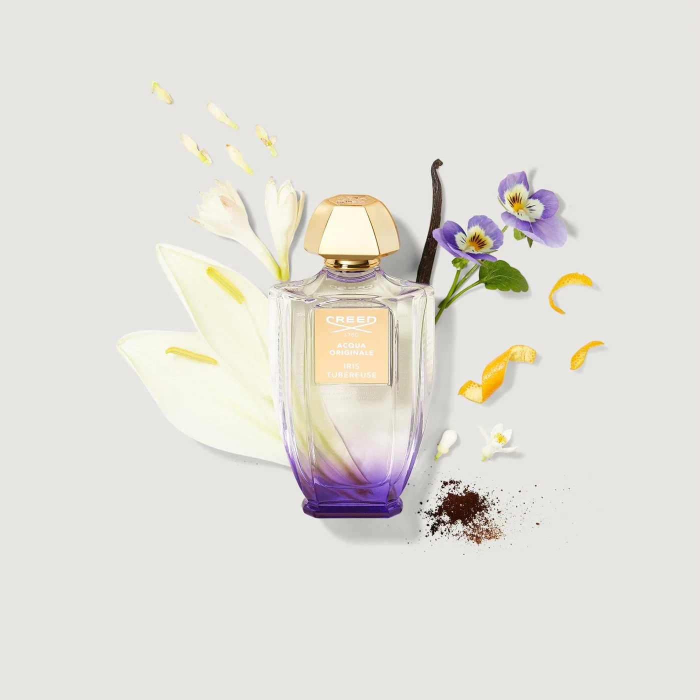 Iris Tubéreuse - additional image