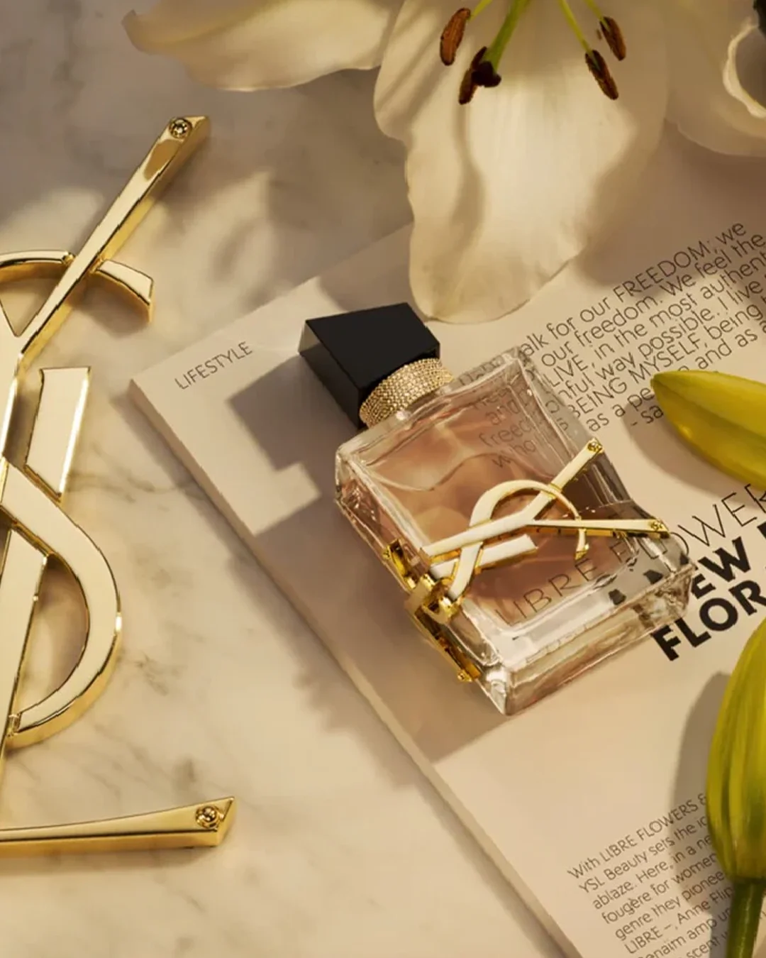 3614274638288-3_da4eb88b-66b5-4685-b44d-56b15b7fb8fd_460x@2x