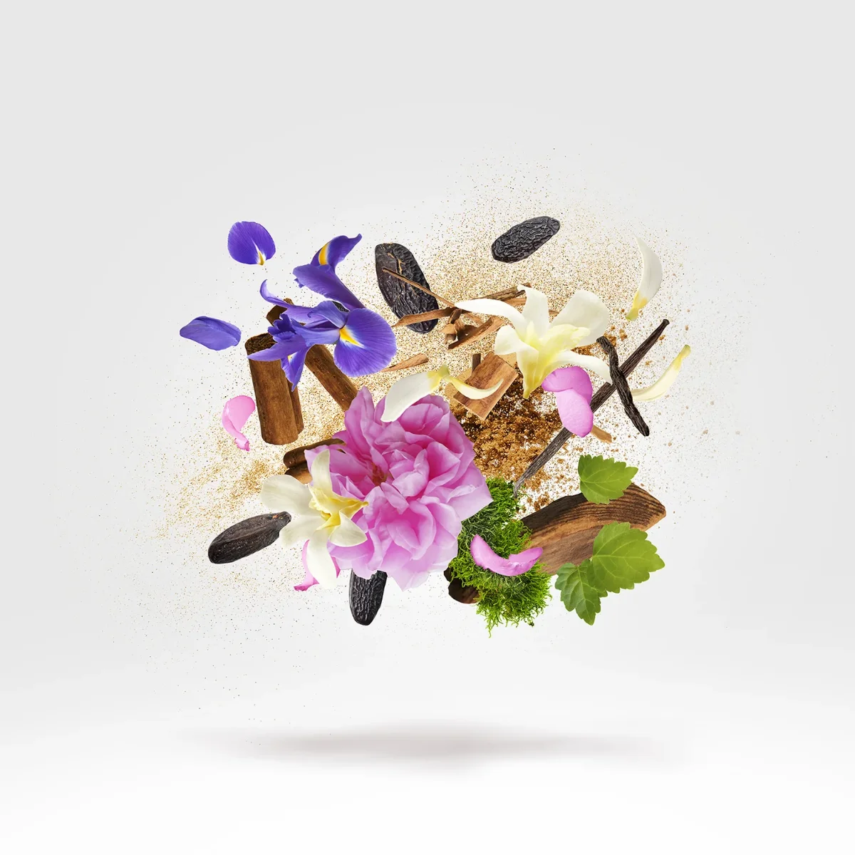 gallery-xerjoff-gibeon-notes