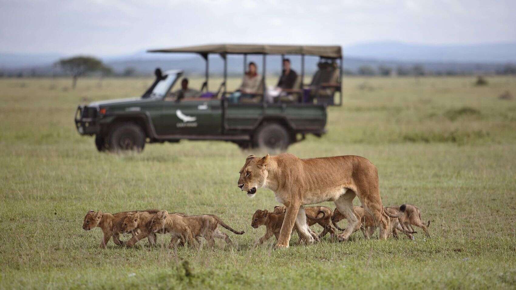 Serengeti — view 2