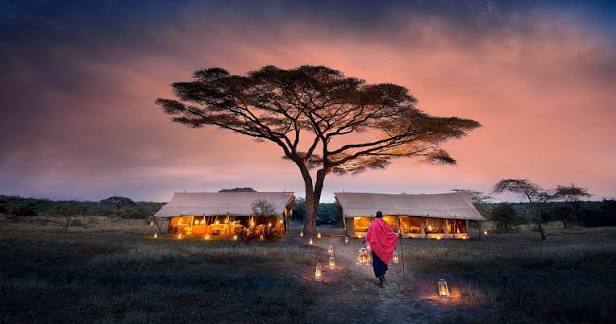 Serengeti — view 3