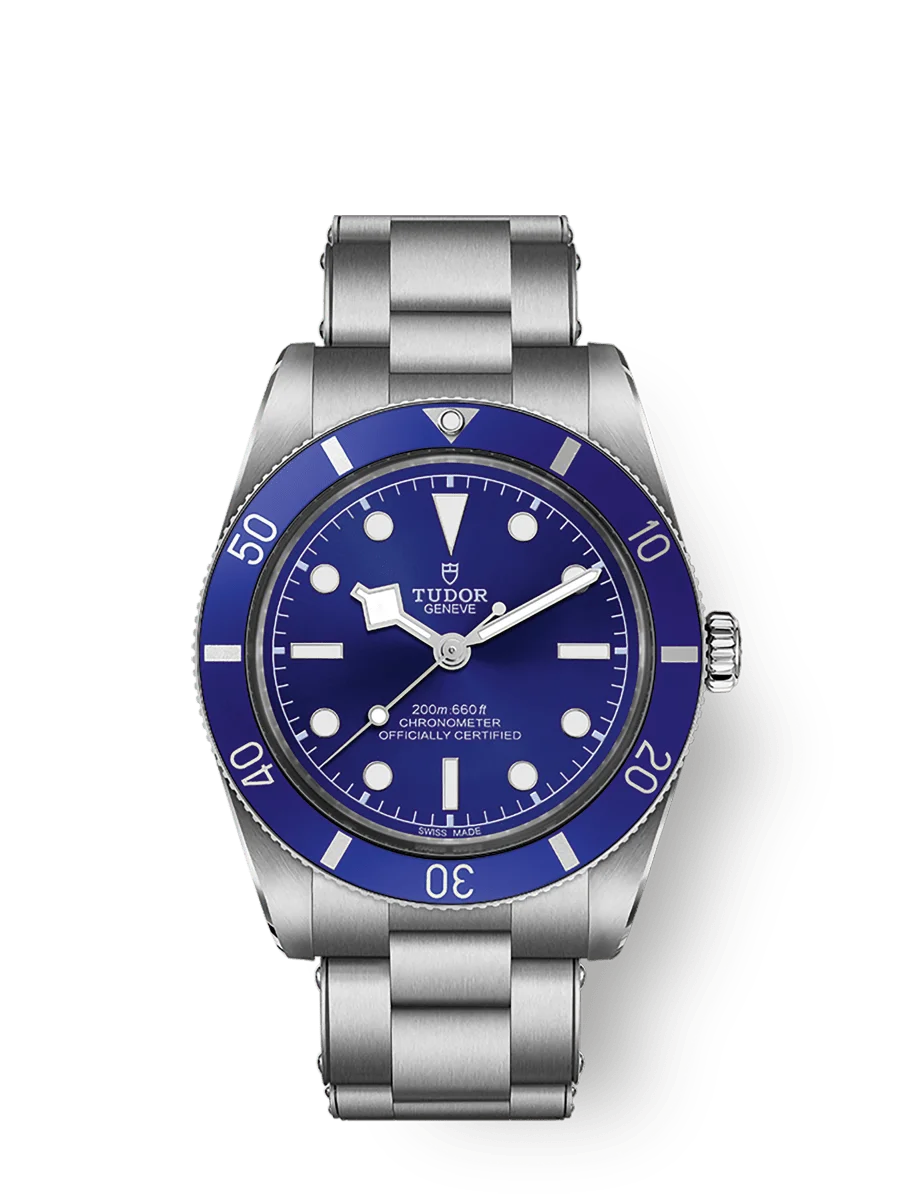 Tudor Black Bay 54. Blue dial & diving bezel, brushed steel case & bracelet. Green background.