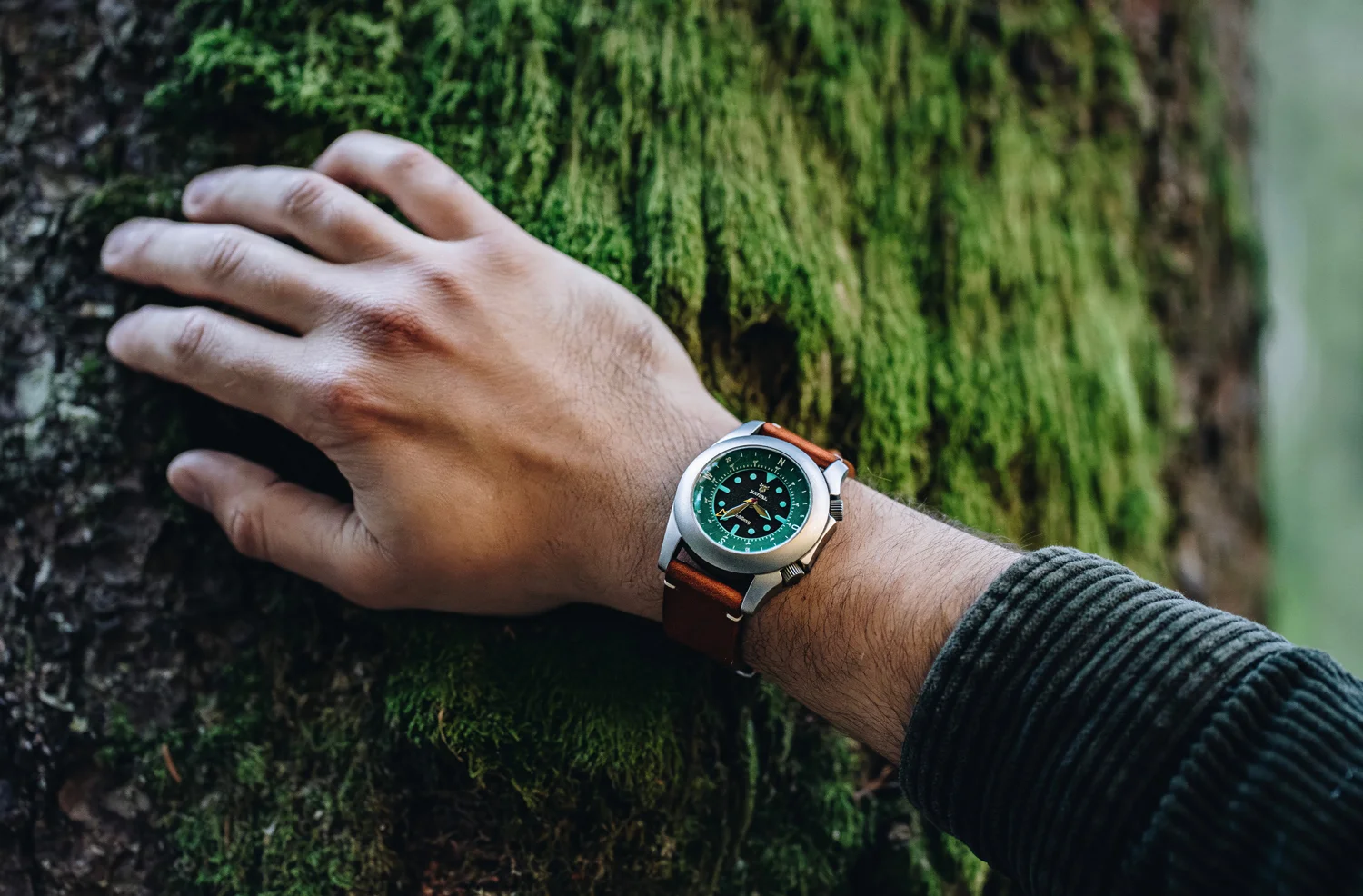 Wrist wearing watch with green compass bezel & brown strap, hand on mossy tree trunk.