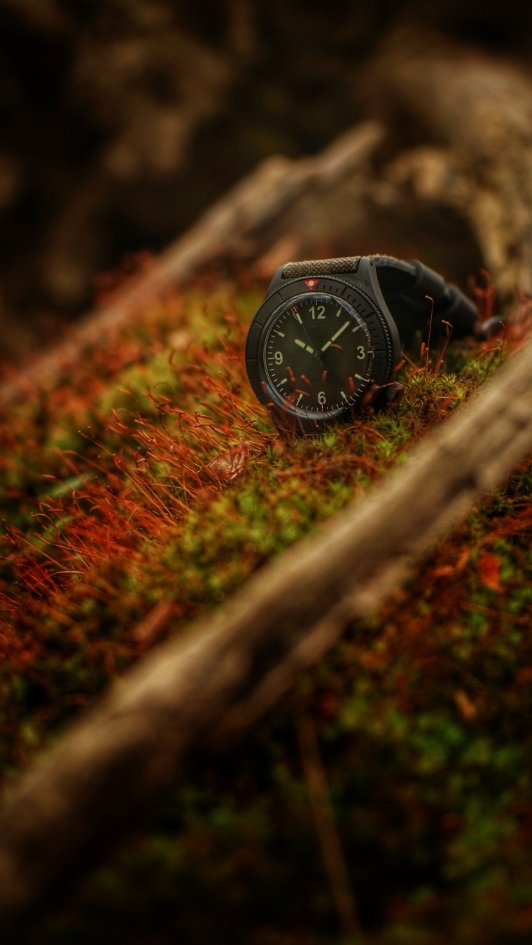 field watch Friday 
