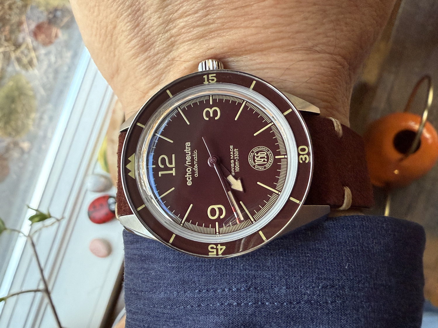 Echo/Neutra 1956 Bordeaux 