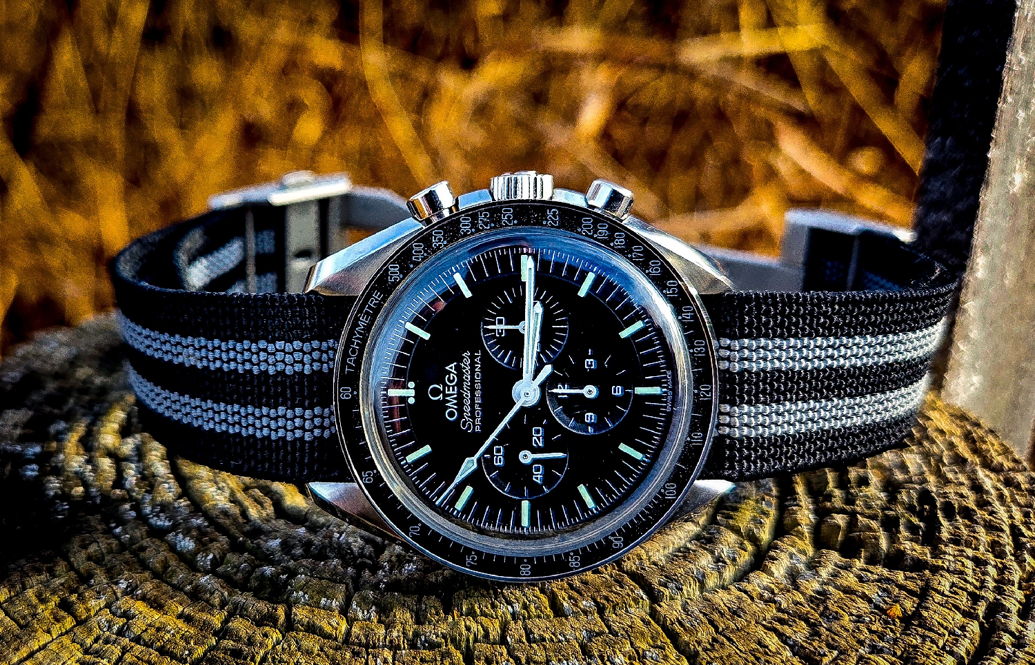 Speedy Tuesday 🚀 🌙 