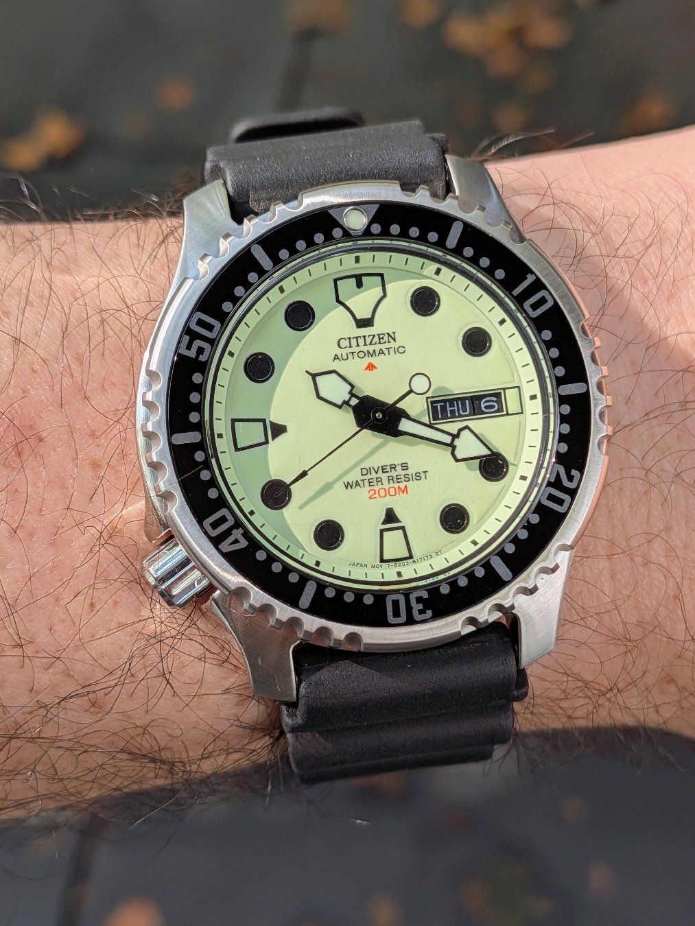 Citizen Promaster Automatic Diver NY0040-09W on a Bonetto Cinturini 285.