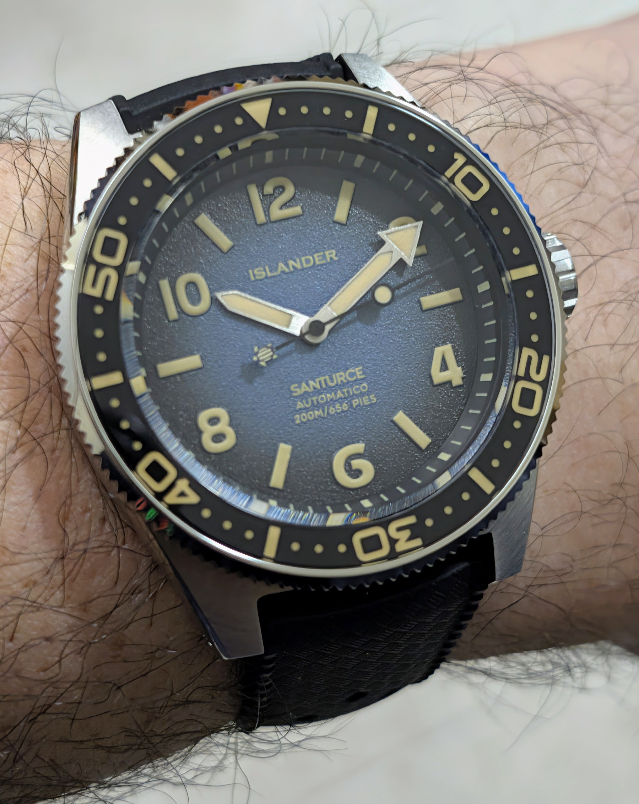 Islander x Santurce Collection ISL-365 Tortuga