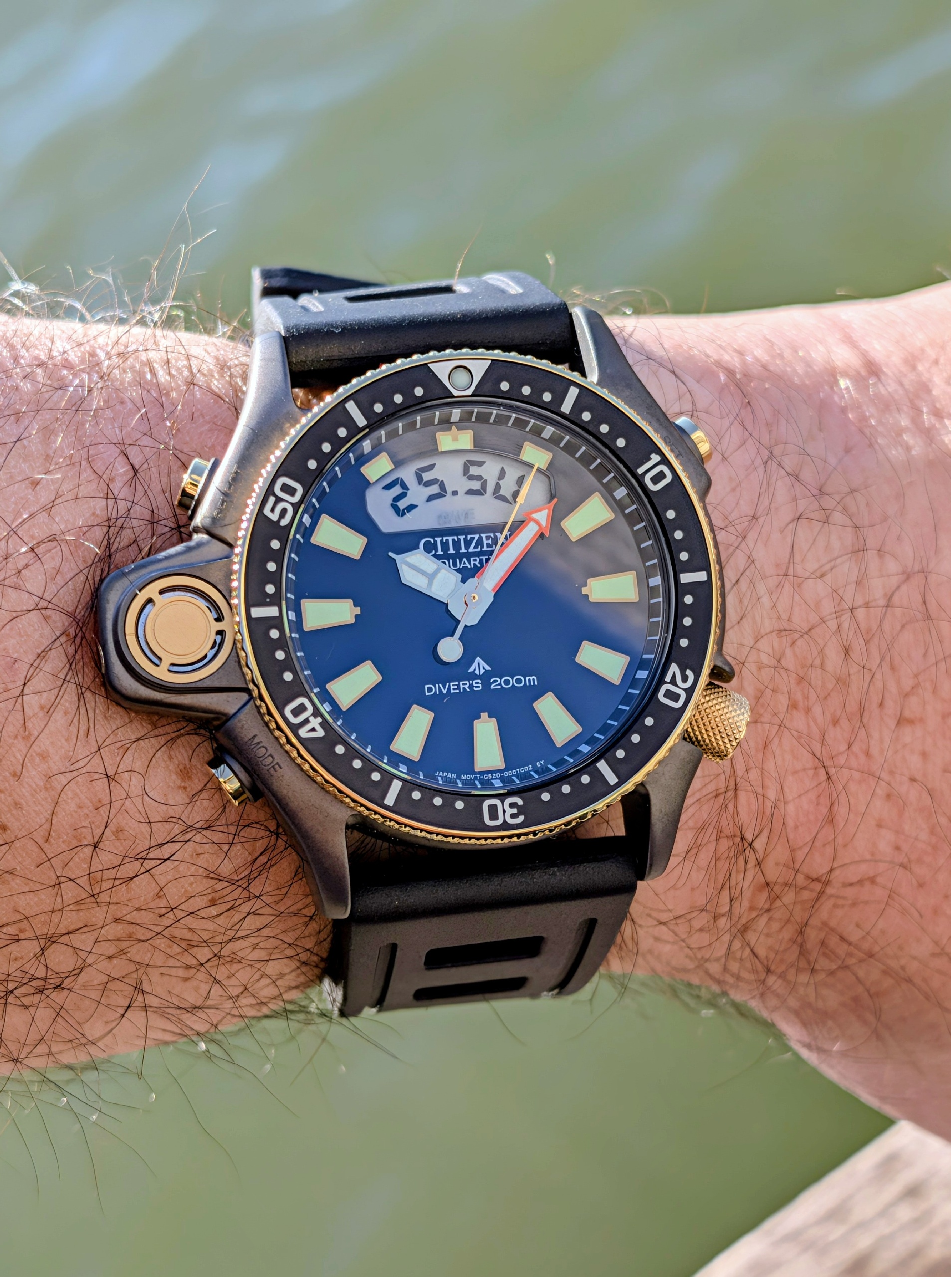 Citizen Promaster Aqualand 40th anniversary edition on a black ISOfrane strap