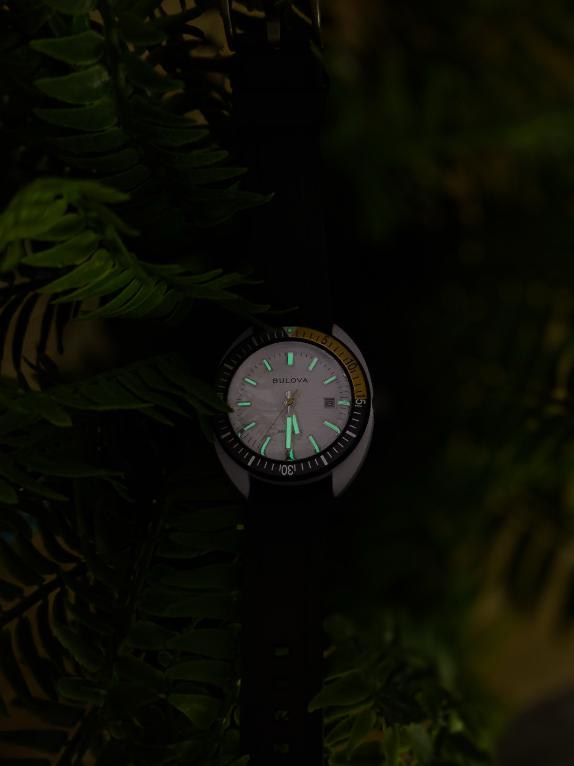 NicksWatches's Bulova Snorkel Great White Shark