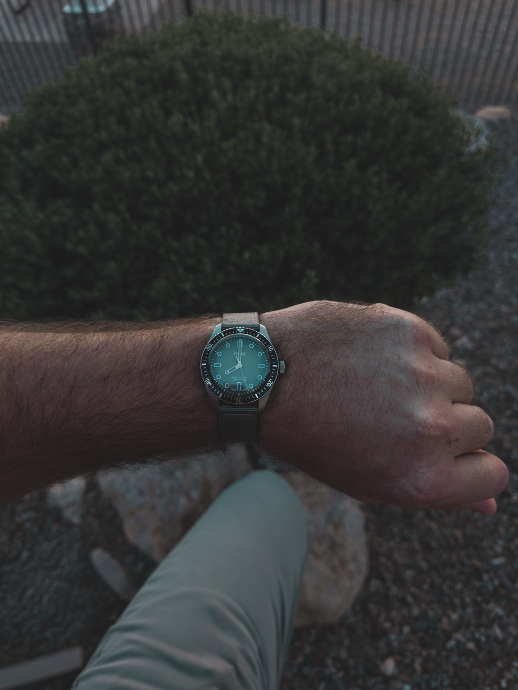 NicksWatches shared their Oris Divers Sixty-Five