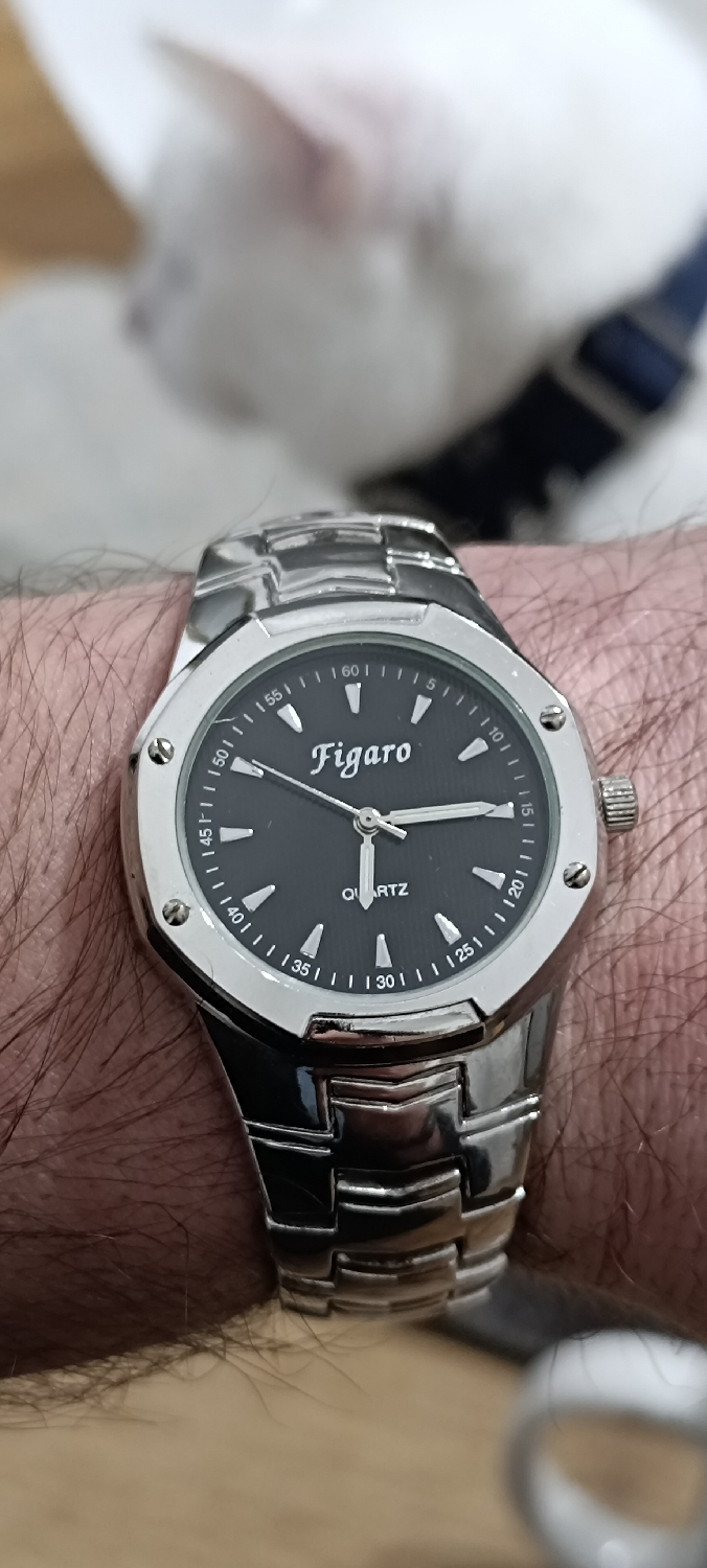 Today, I'm wearing this, aaaa. I know nothing about this watch. It's absolutely shite! I just think Figaro (reminds me of the opera song) is a fun name and I do like the octagon shape style! 
Not every watch needs to be a grail, have fun, enjoy life. 