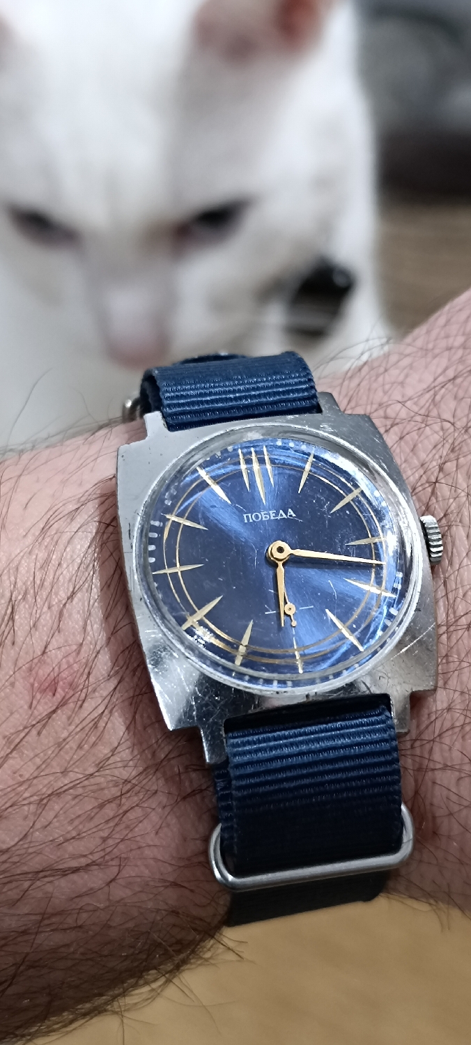 Pobeda wristwatch - Forged in War. Worn in Peace! Celebrating Stalin / Soviet Victory in WWII

Did you know that the Soviet Union contributed massively to win the war against Hitler? They were the ones that suffered massively and had the highest number of casualties in all nations. 