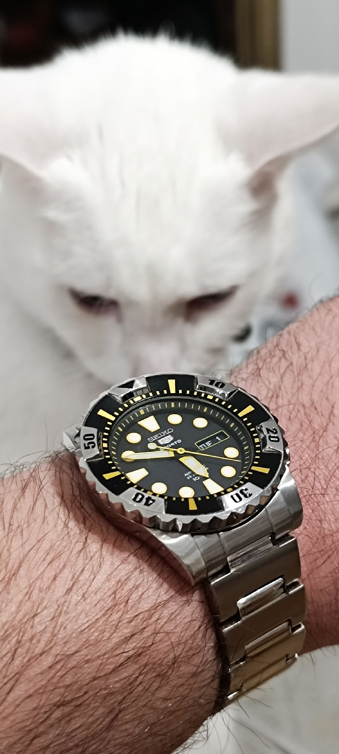 π±β When the Seiko 5 Steals the Showβ¦ and the Cat Approves π€π - Yellow Cupcake
Seiko 5 Sports on the wrist β automatic movement, diver style, bold lume, day-date complication and that iconic tool-watch DNA.
Affordable, reliable, mod-friendly and built like a tank. This is why Seiko 5 is a legend!