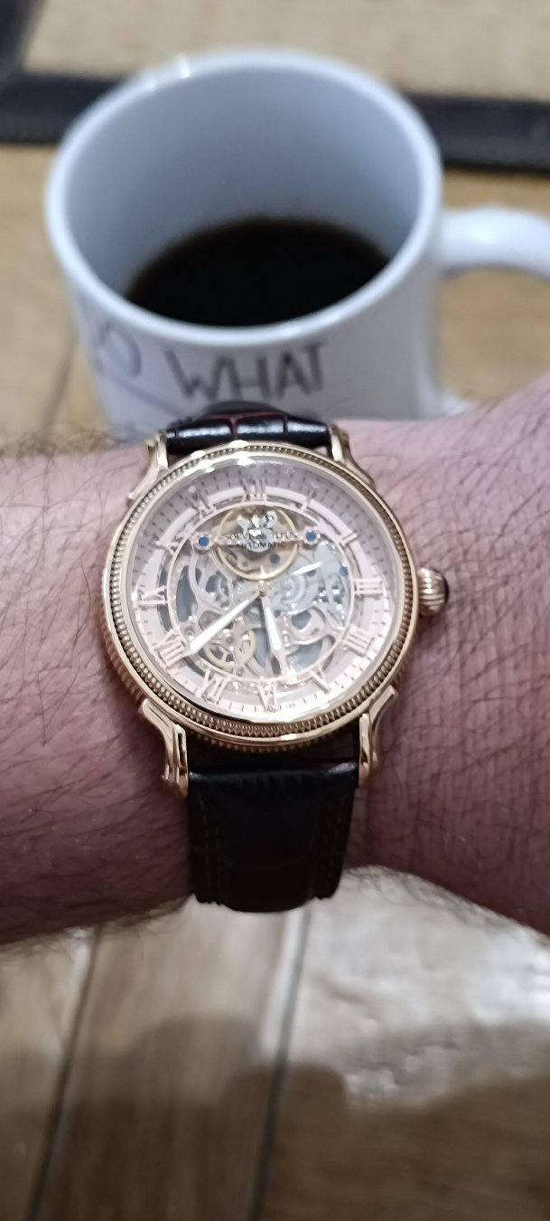 Morning everyone
Did you know Solvil et Titus used to beat Rolex and Omega in observatory accuracy competitions?
Founded in 1887 by Swiss chronometry legend Paul Ditisheim, the brand spent decades setting world precision records, making high-grade chronographs, and building sought-after skin divers. But after the 1970s Quartz Crisis, everything changed.
In the past a high-end Swiss horological powerhouse transformed into today's romantic fashion dress watch brand.
Featuring the modern Titus Ref. 06-2056 skeleton watch.