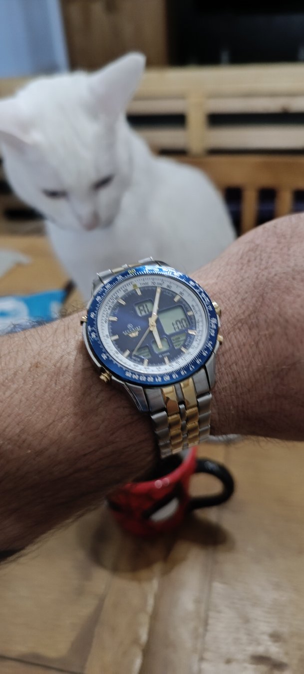 Morning 
Once the biggest name in British timekeeping now a forgotten brand by corporate suits. 
