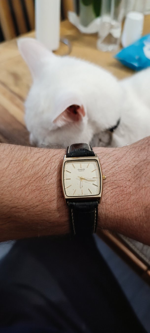Morning everyone
Today on @arbalexwatches, we're taking a look at a hidden gem from Casio's vintage dress watch archive—the Casio MQ-301G.
Powered by the classic Casio 317 quartz movement, this 1980s tank-style watch offers incredible retro aesthetic without breaking the bank. Featuring a warm champagne dial, slim gold-tone case, and paired with a 20mm leather strap, it's proof that great design doesn't have to cost a fortune.
Whether you're building a vintage watch collection on a budget or looking for a sleek, low-profile dress piece, this little Casio punches well above its weight.
Drop a comment below with your thoughts on this vintage Casio tank! If you enjoyed, hit that like button and subscribe for more horological content, reviews, and watch talk.
#Casio #VintageCasio #WatchCollector #Horology #DressWatch #WatchReview #ARBALEXWatches #TankWatch #AffordableWatches