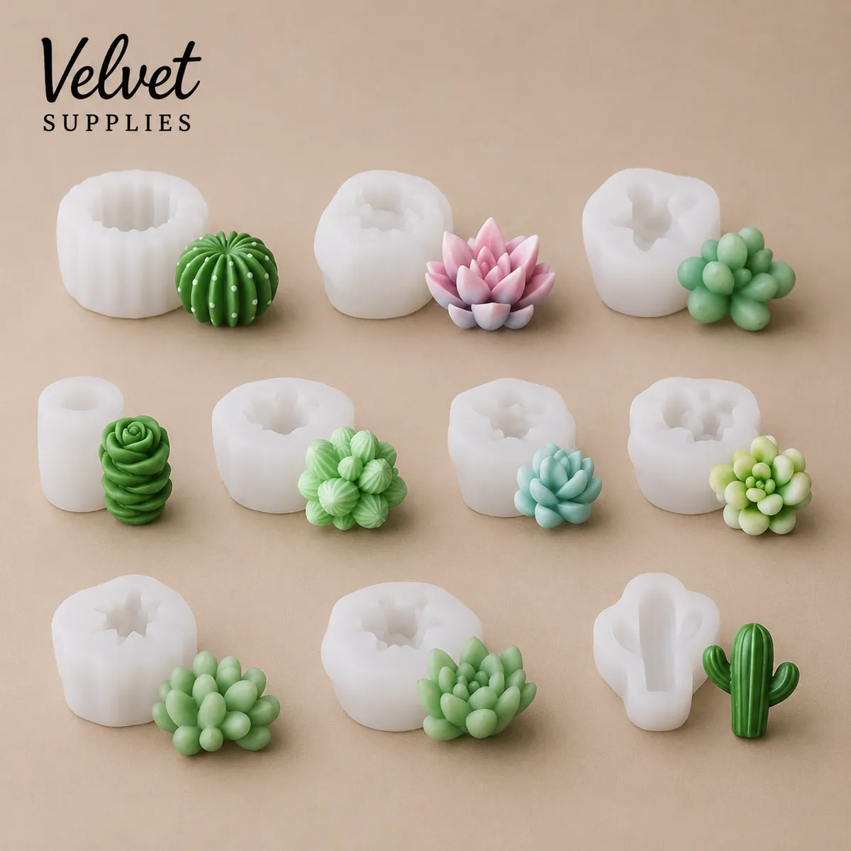 Cactus set of 10pcs