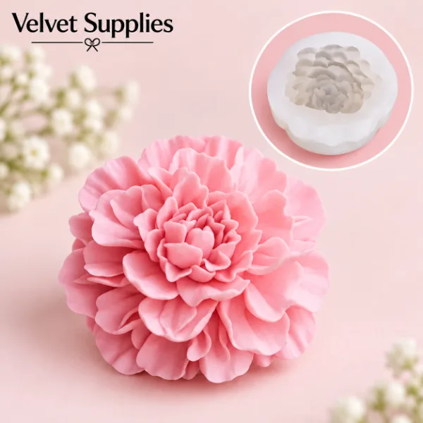Carnation Big 