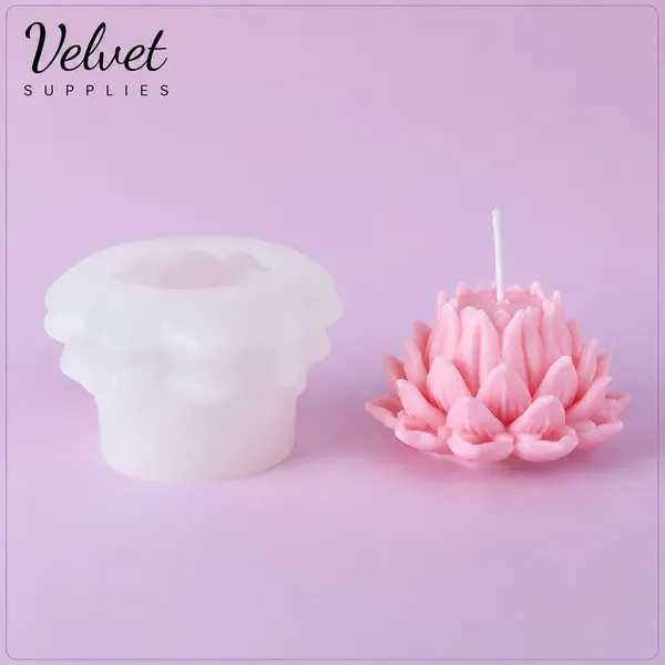 Lotus Charming