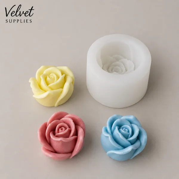 Rose Flower Bloom